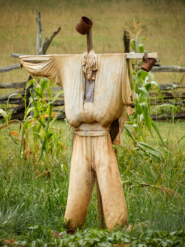 Scarecrow copy