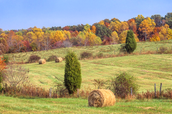 field in autumn copy