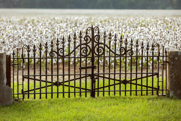 gate and cotton field copy
