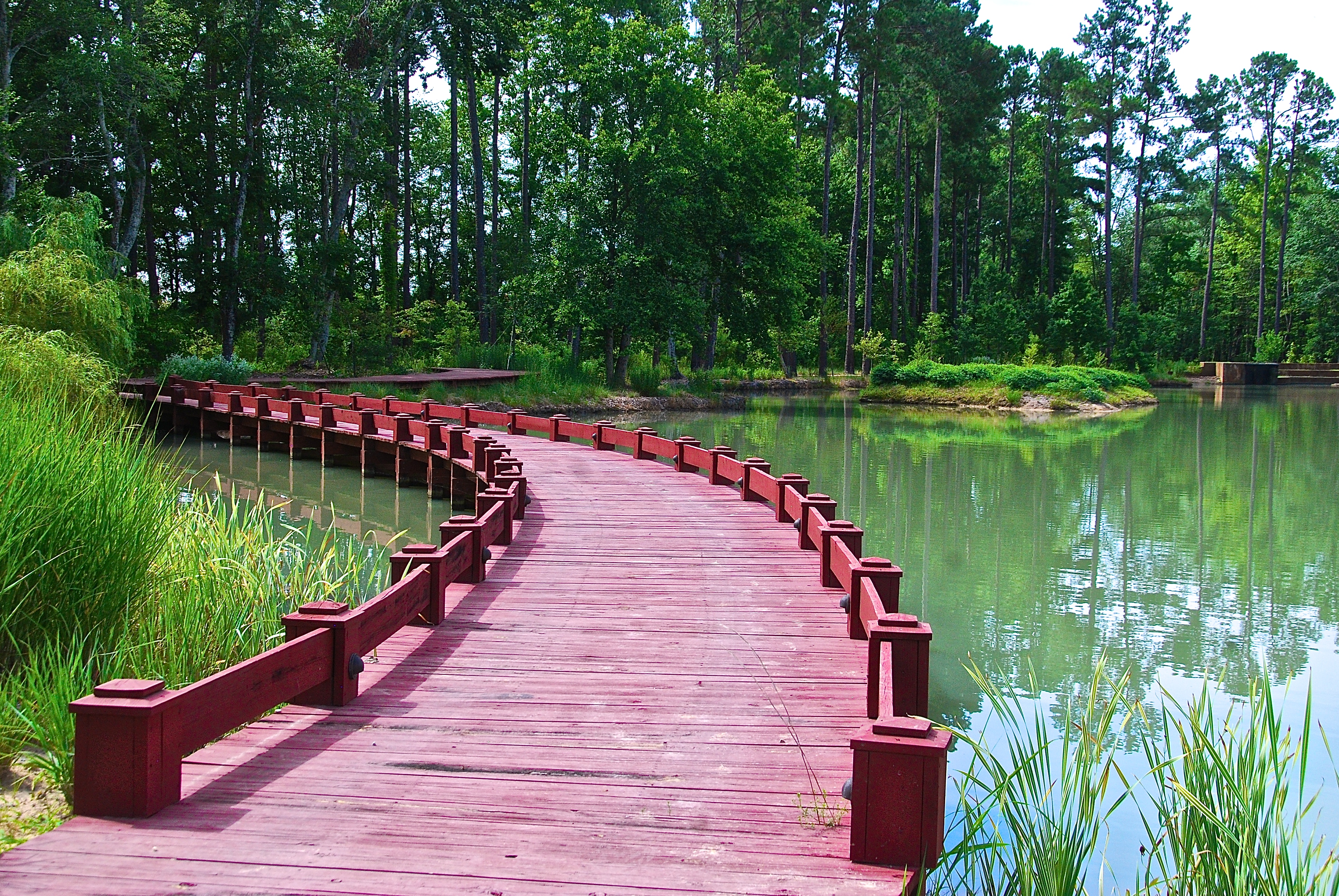 A boardwalk winds along the Swimming Pond, a serene spot in the garden surrounded by native grasses and pines.