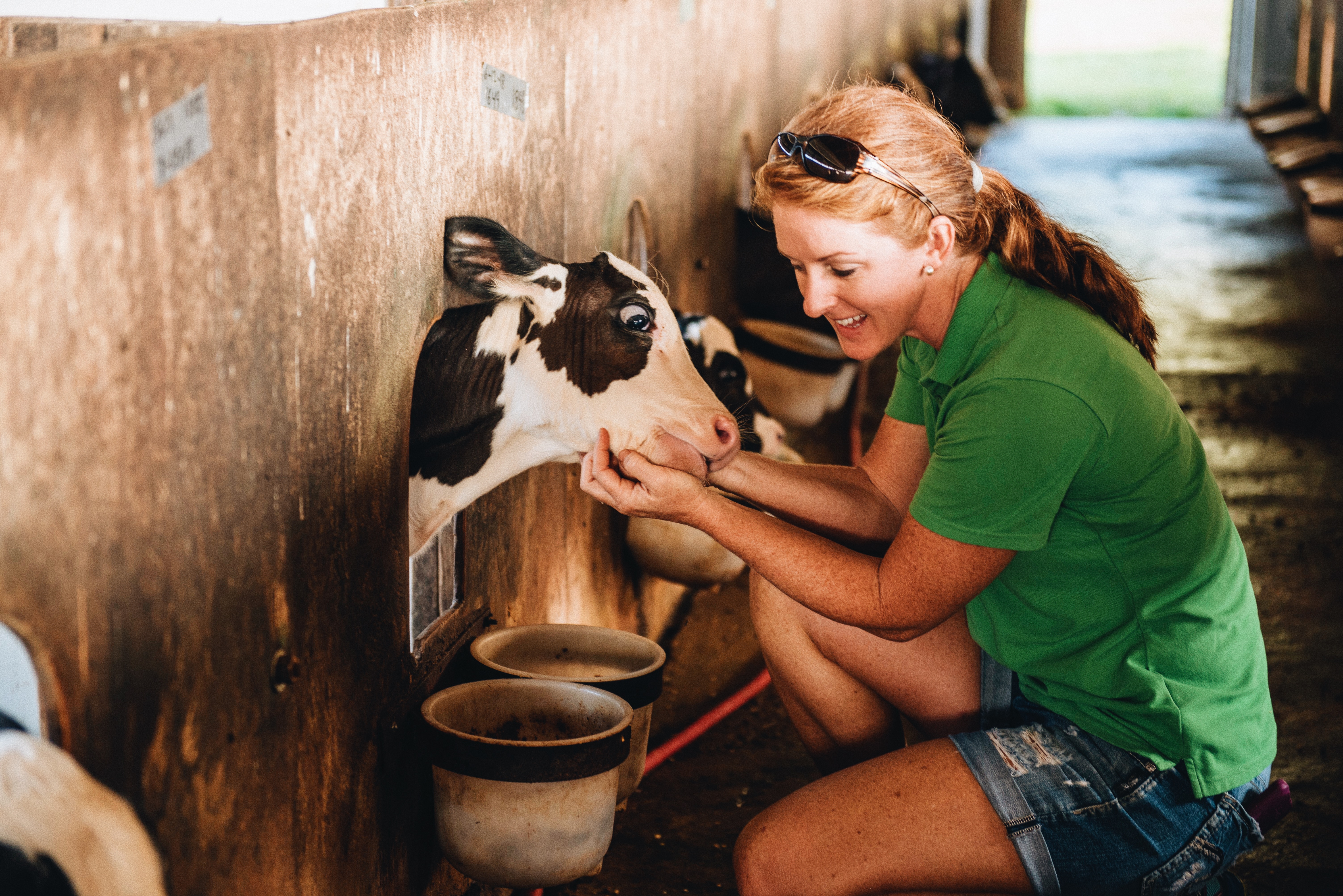 Agritourism is a valuable tool used to educate the public about farming. Tour guide Jamie Pearson gives a thorough behind-the-scenes tour of dairy farming with a schooling on milk. 
