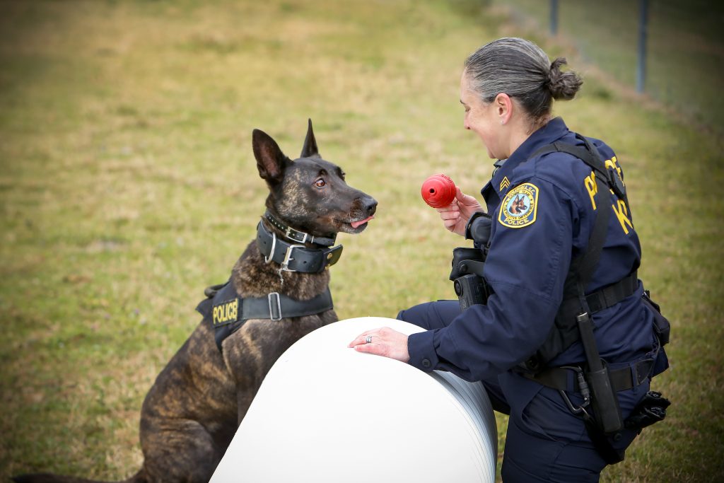 The K-9 agility park provides a place for the canines to train. 