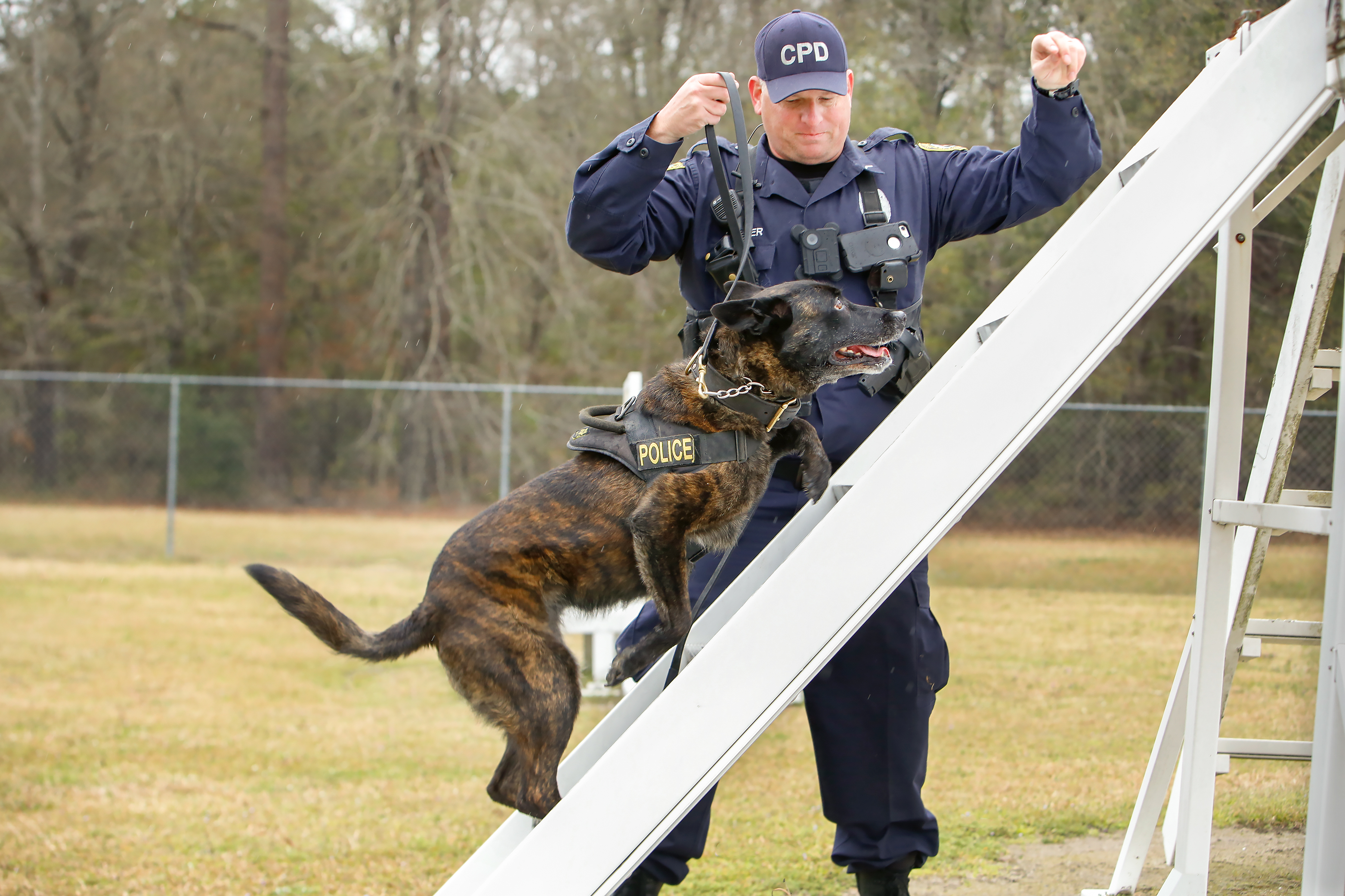 Master Public Safety Officer Eric Walker from the City of Columbia’s K-9 unit works with Dutch shepherd Indy to climb stairs at the agility park.