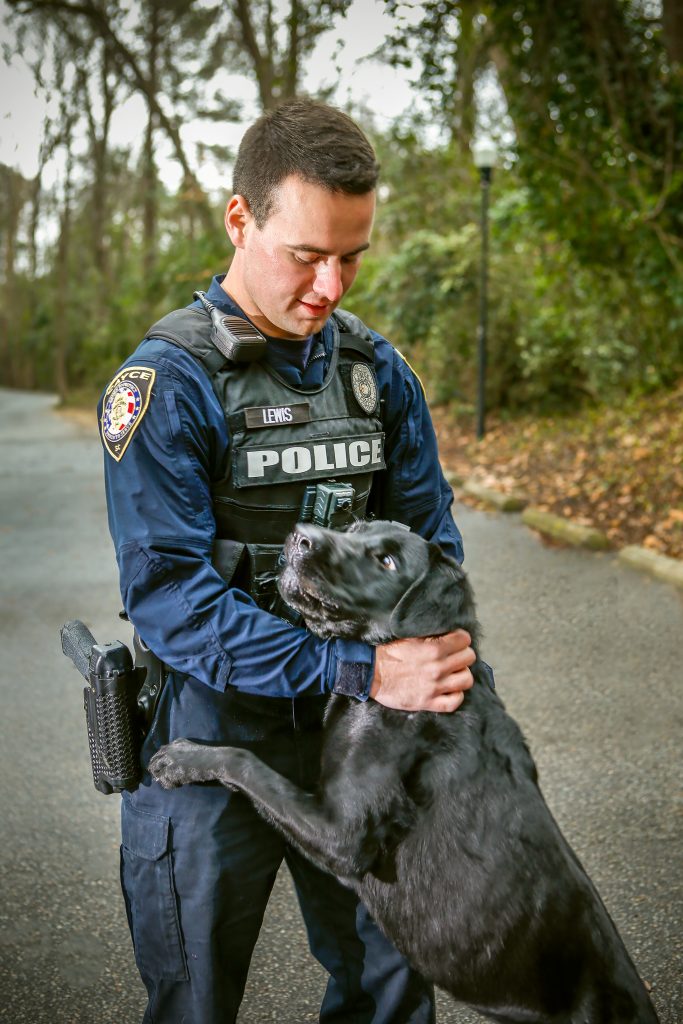 K-9 dogs go through a selection process based on personality, drive, and sociability. 