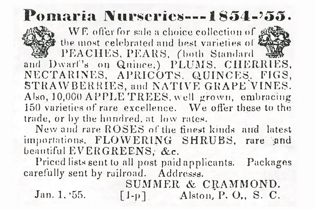 A Jan. 1, 1855 advertisement is for Pomaria Nurseries in Southern Agriculturist. All photography courtesy of James Kible