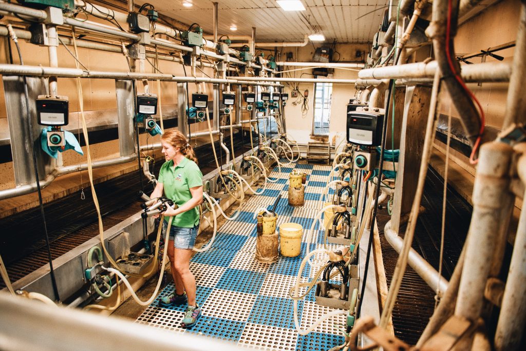 Everything that touches Hickory Hill milk is sterilized three different times before and after each milking. “If you’re drinking Hickory Hill milk, we guarantee it to be cleaner than the glass you pour it in,” says Watson Dorn. t
