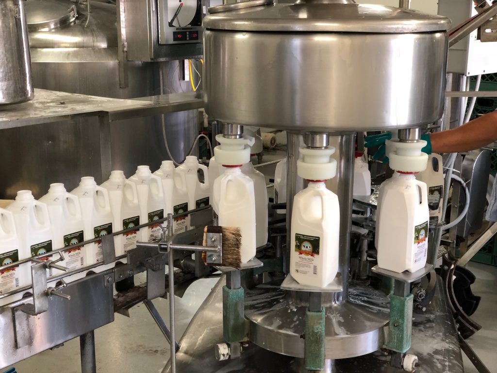 Hickory Hill milk is bottled on-site five days a week the old-fashioned way.