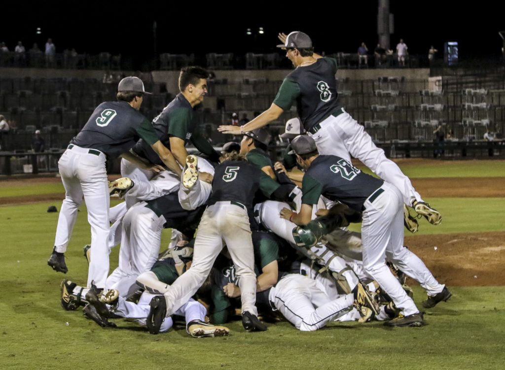 The Dutch Fork baseball team exudes physical elation during its celebration after defeating Blythewood in the third game of the championship at Segra Park, home of the Columbia Fireflies, to decide the Class 5A baseball championship. 