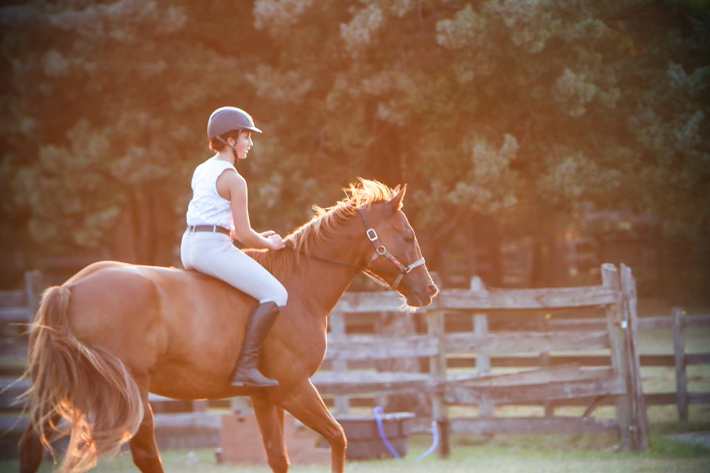 Sally Marzagao rides Laser bareback with a halter instead of a bridle. The fact that Laser does not need a bit illustrates his responsiveness to her instructions. 