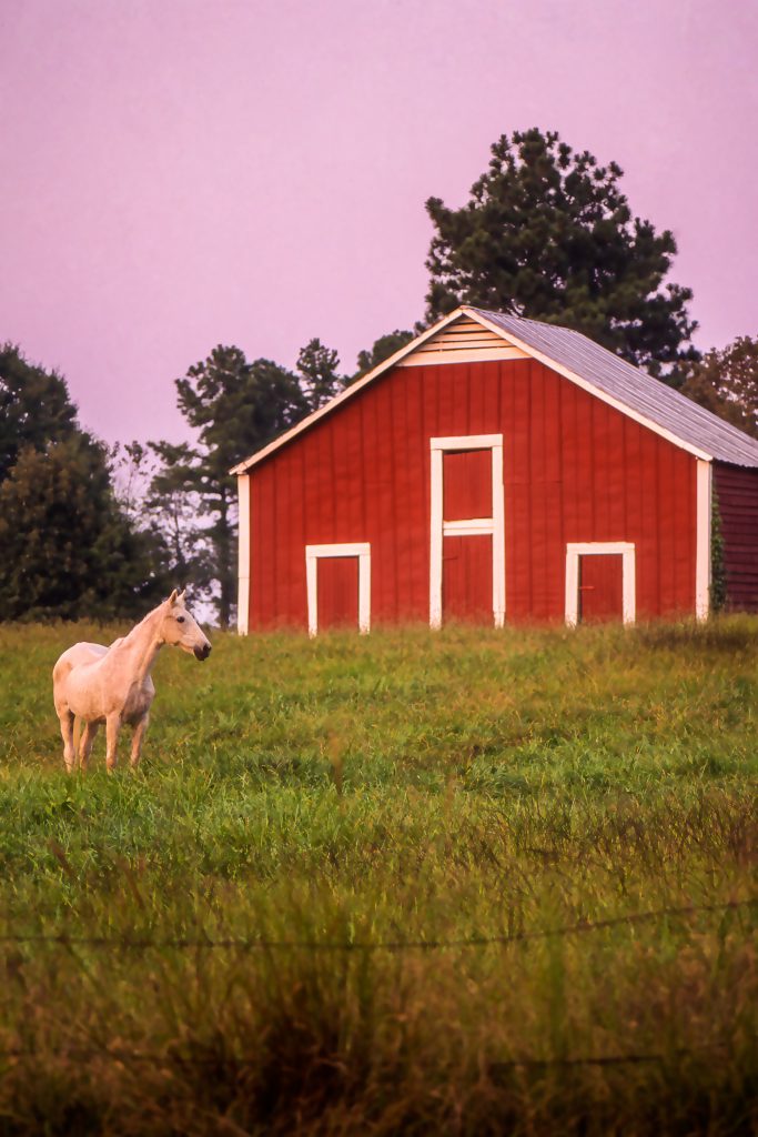 horse and red barn final