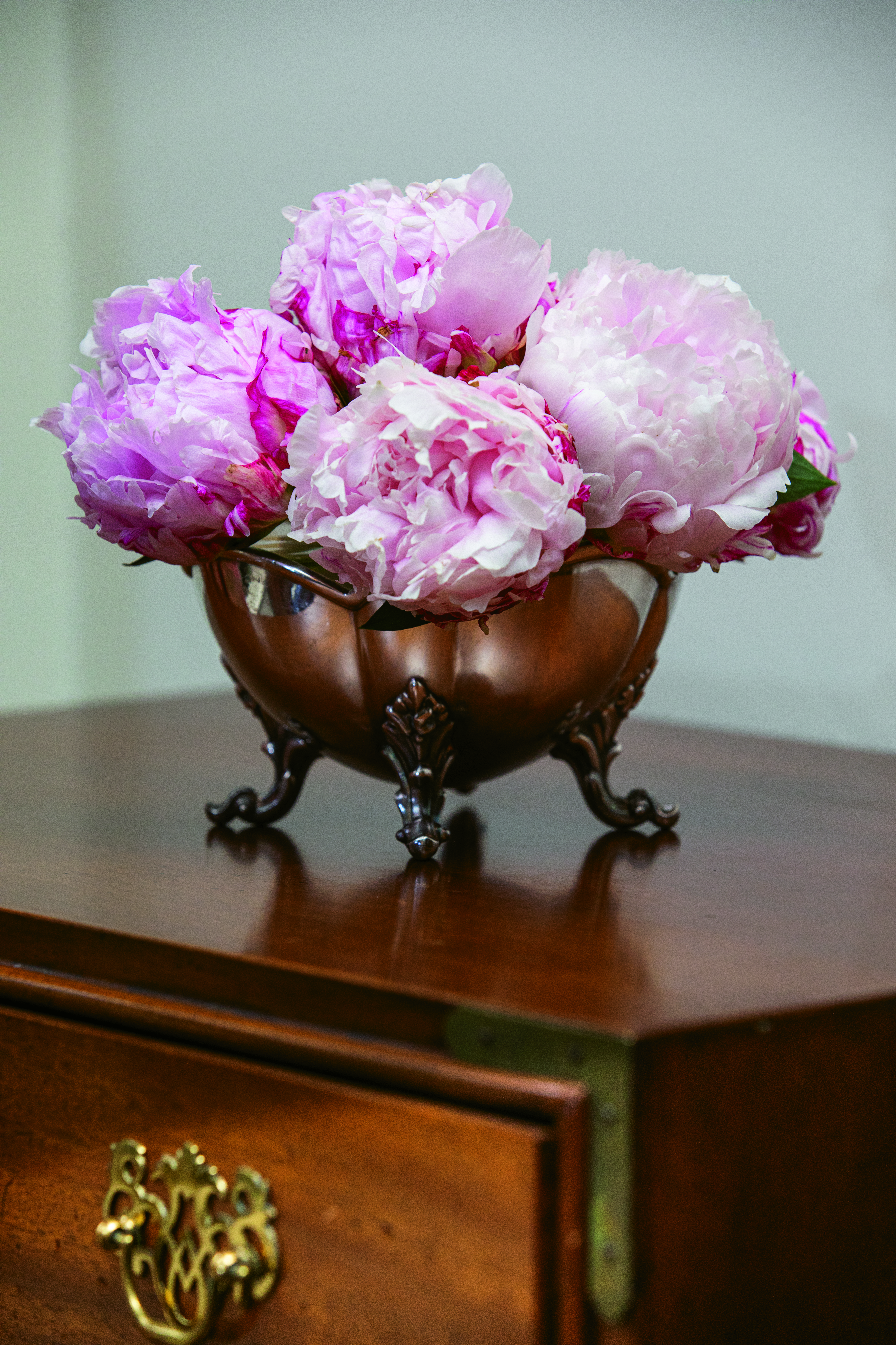 Peonies are supported in a silver dish with clear florist tape crisscrossed across the top. Once fully opened, the blooms will be a breathtaking flutter of pink confection! 