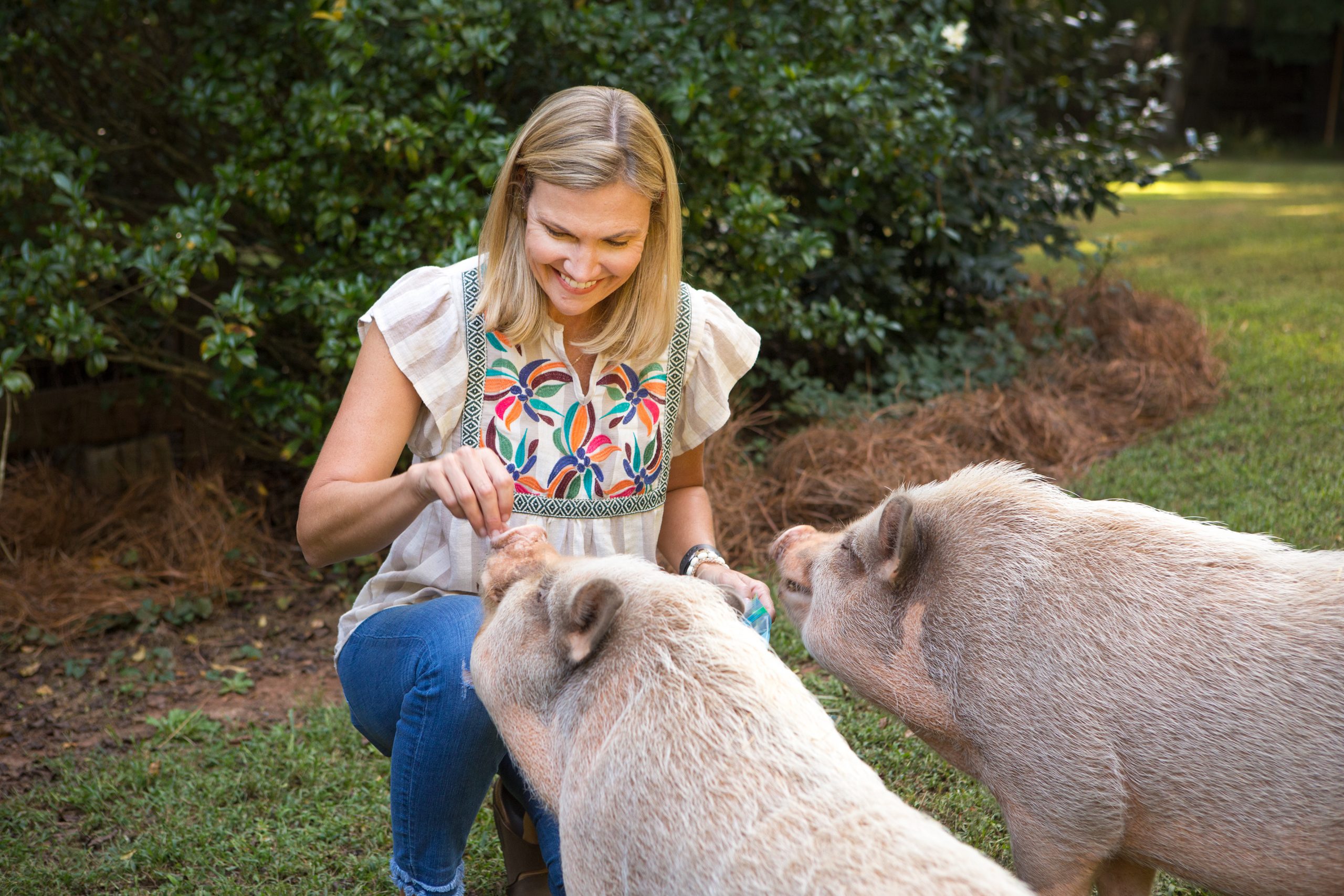 Potbellied pigs Dez and Cody were gifts to Kristin Johnson from her sons, Tucker and Mac, in 2017. Sold to them from a smooth-talking vendor, the pigs were advertised as “teacup” pigs that would remain under 30 pounds. However, Kristin has learned that the potbellied variety are not certain to be small and may grow to be 100 to 150 pounds. 
