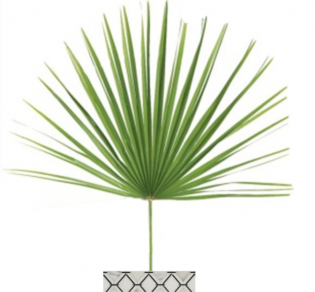Oversized palm frond