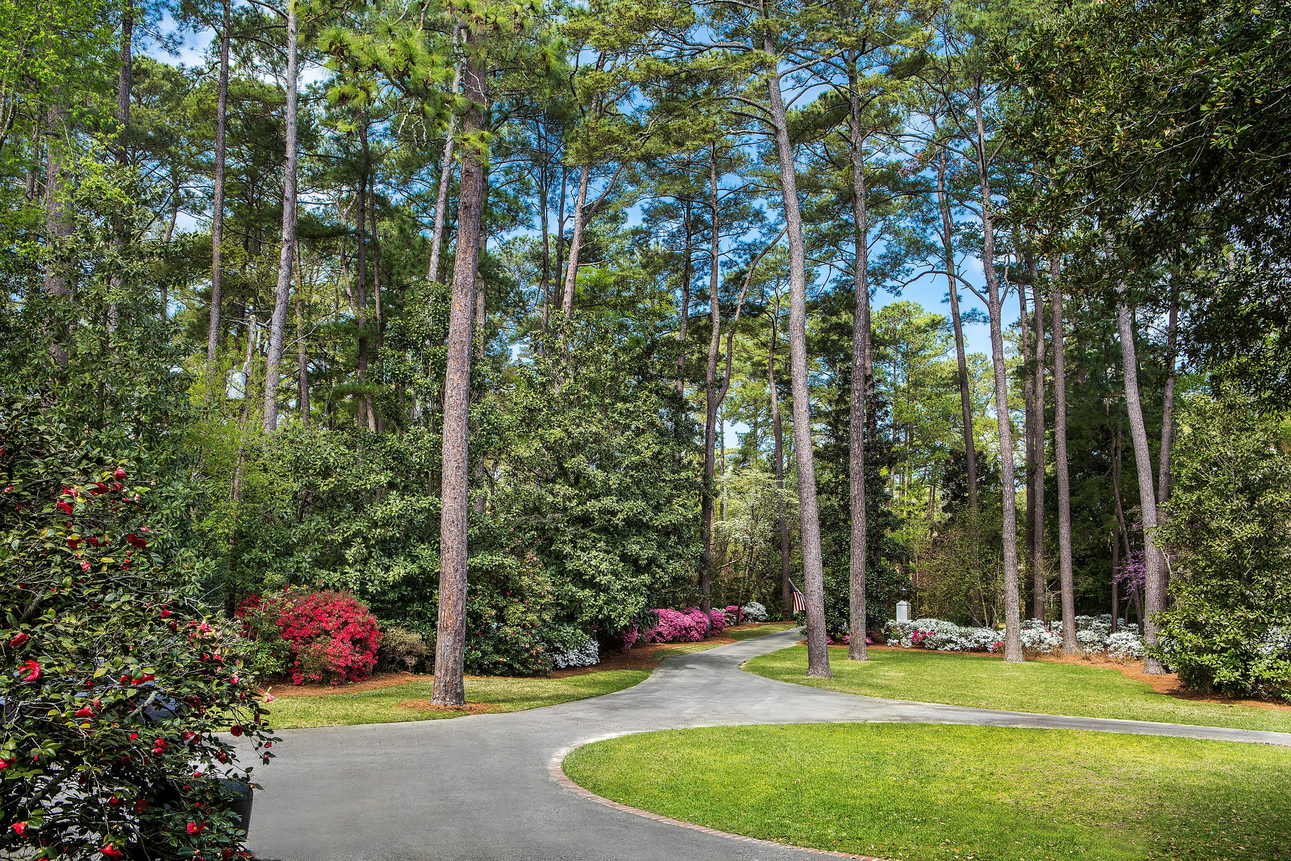 The Malanuks’ driveway meanders past runs of azaleas grouped by color, hydrangeas, and several kinds of magnolias. The open lawn is not only home to their kids, but home to all the neighborhood for football games and family gatherings. 