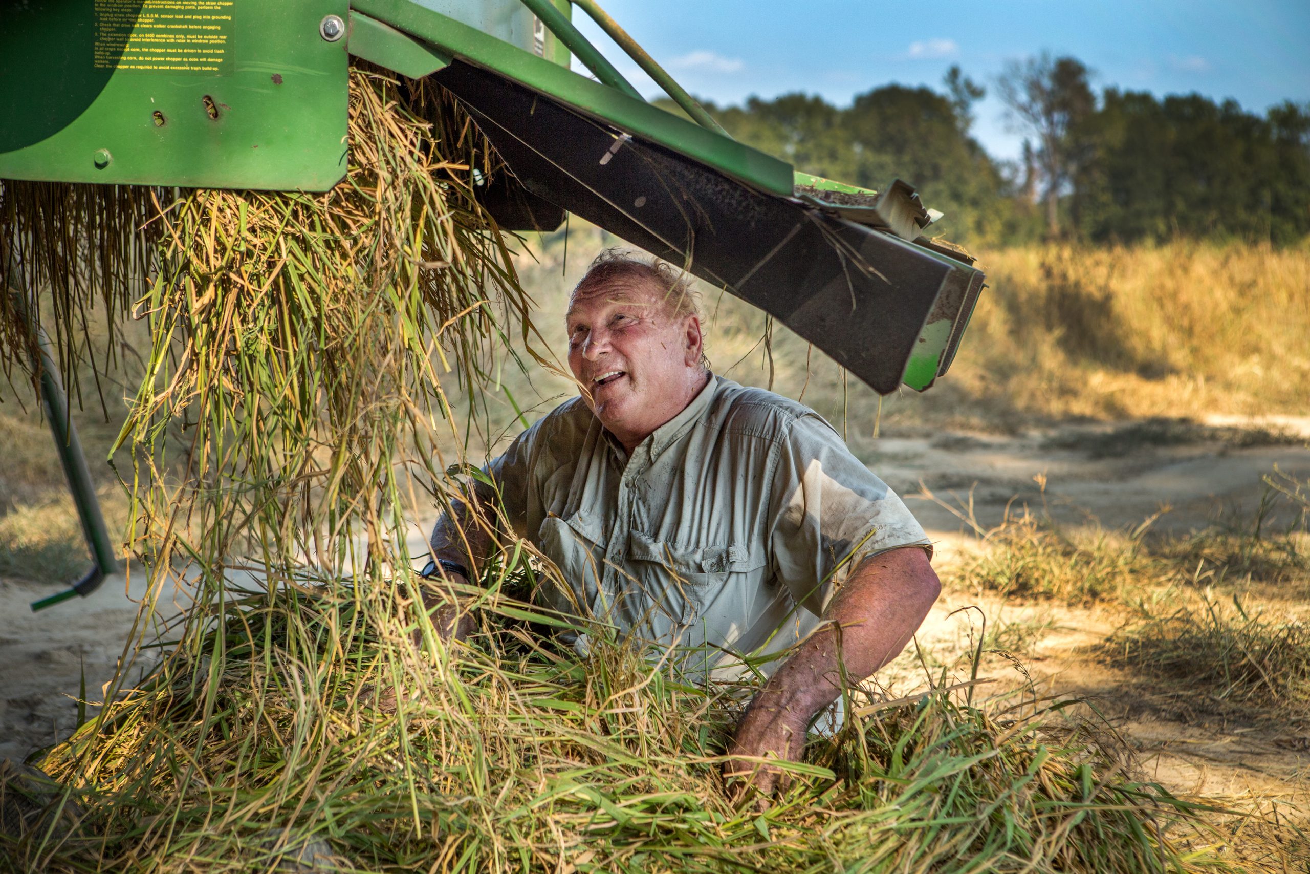 A traditional rice yield is 4,000 pounds per acre, but Carolina Gold yields 2,500 pounds per acre. Campbell is proud of his product and thrilled a large following of well-known chefs in the United States and Canada use his rice in their dishes and restaurants. 