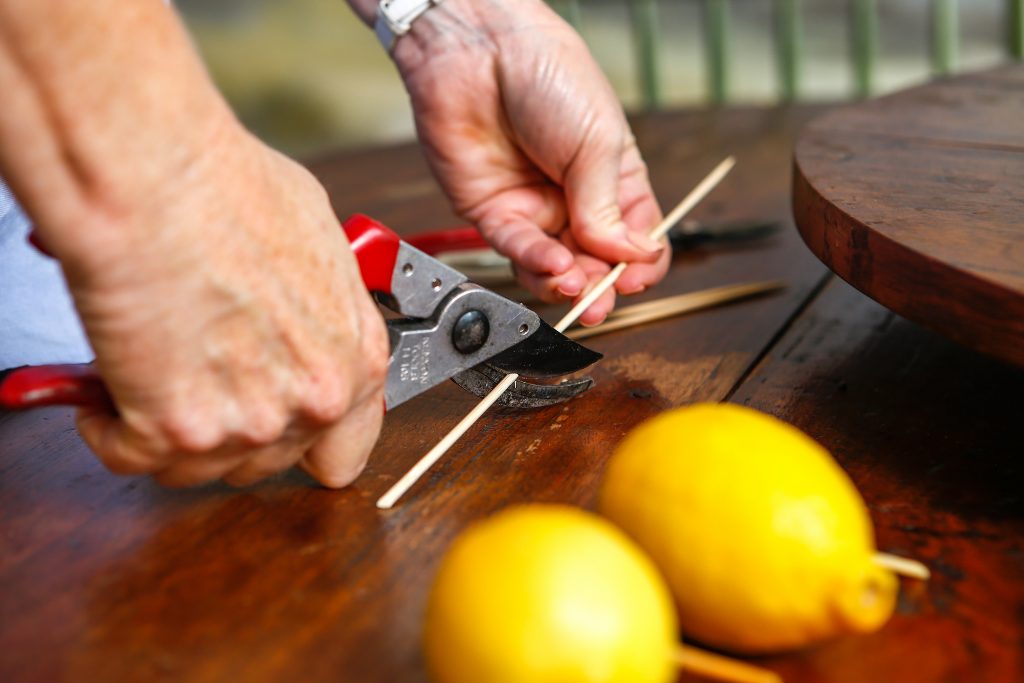 Cut the skewers into the appropriate length to hold the fruit in place in the Oasis.