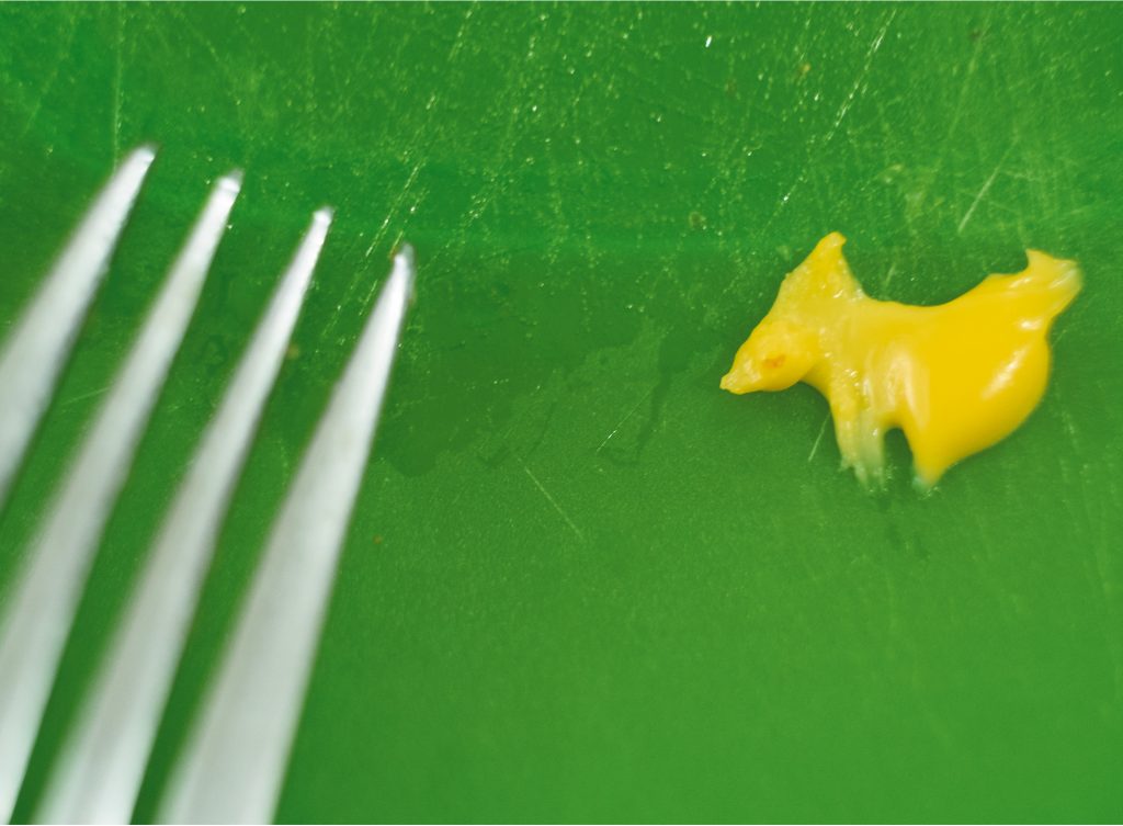 Use your imagination to guess what is being photographed and seen in this unusual picture! What appears to be a pony, or to others a running dog, is melted cheese on a green plate. 
