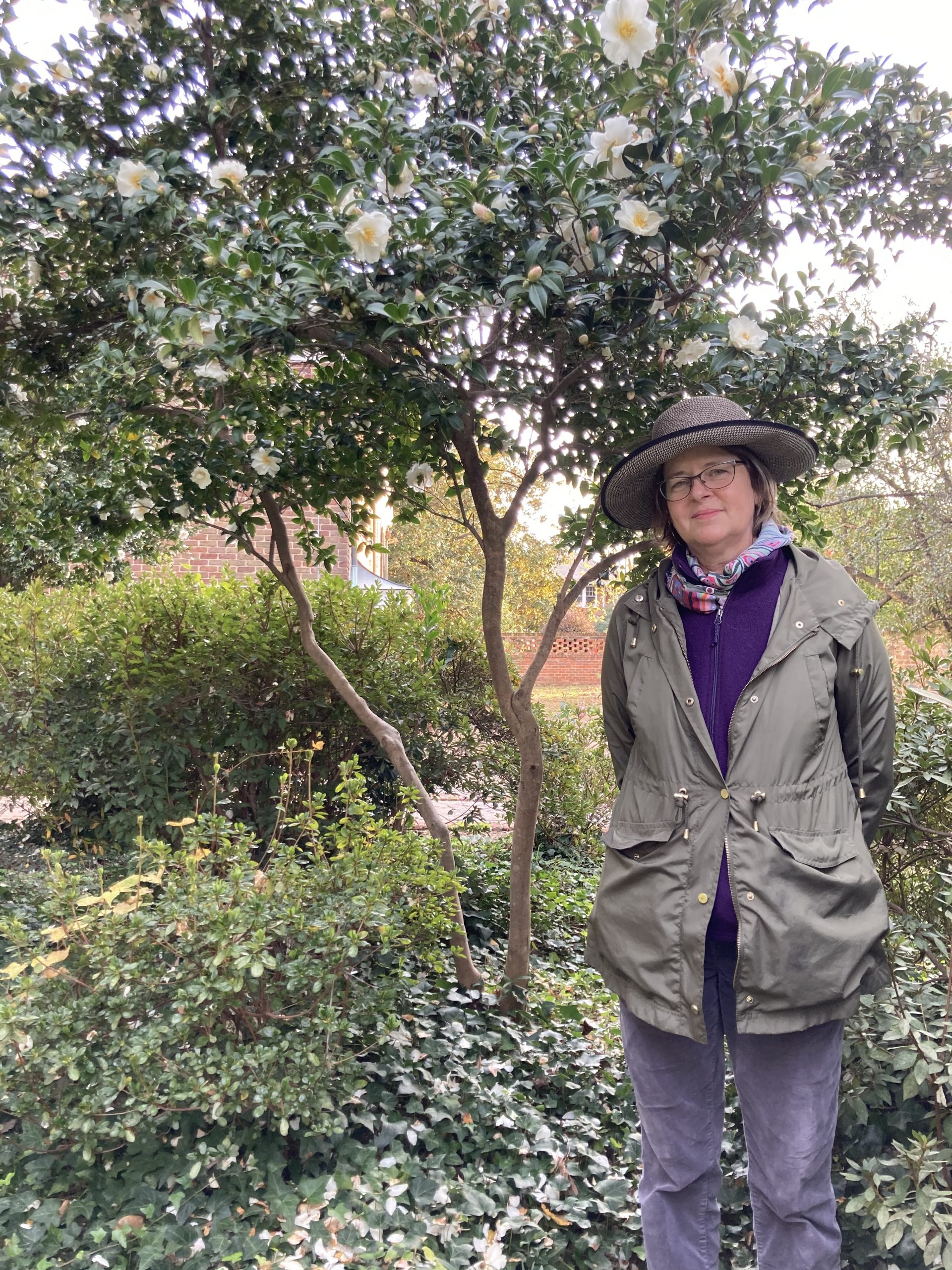 Emily Jones, landscape architect for USC, stands by a camellia pruned to an exceptionally open form in the Finlay Gardens behind the Barringer House. The funds for the garden were generously donated by Peg Averyt in honor of the Finlays. 