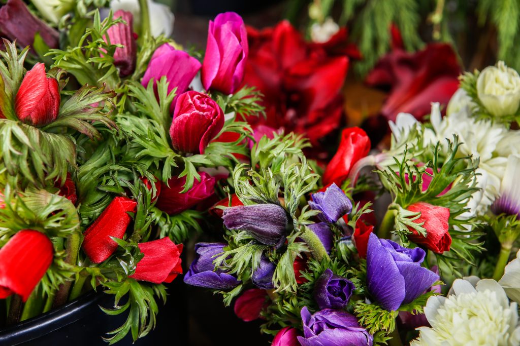 Donna Mills at Floral and Hardy Farms produces everything from anemones, ranunculus, and sweet peas to zinnias, stock, and sunflowers. In addition to local markets, her farm offers a subscription service for dried and fresh flowers.