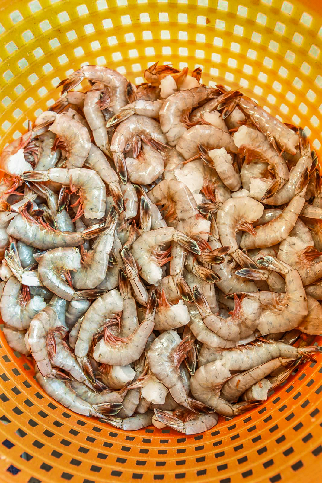 Jeff Dowdy, also known as The Shrimp Guy, sells fish and shellfish from his truck by pre-order and as available, delivering to locations around South Carolina. Look for him in Columbia in a parking area near the Hangar at Owens Field, Irmo, and Blythewood. 