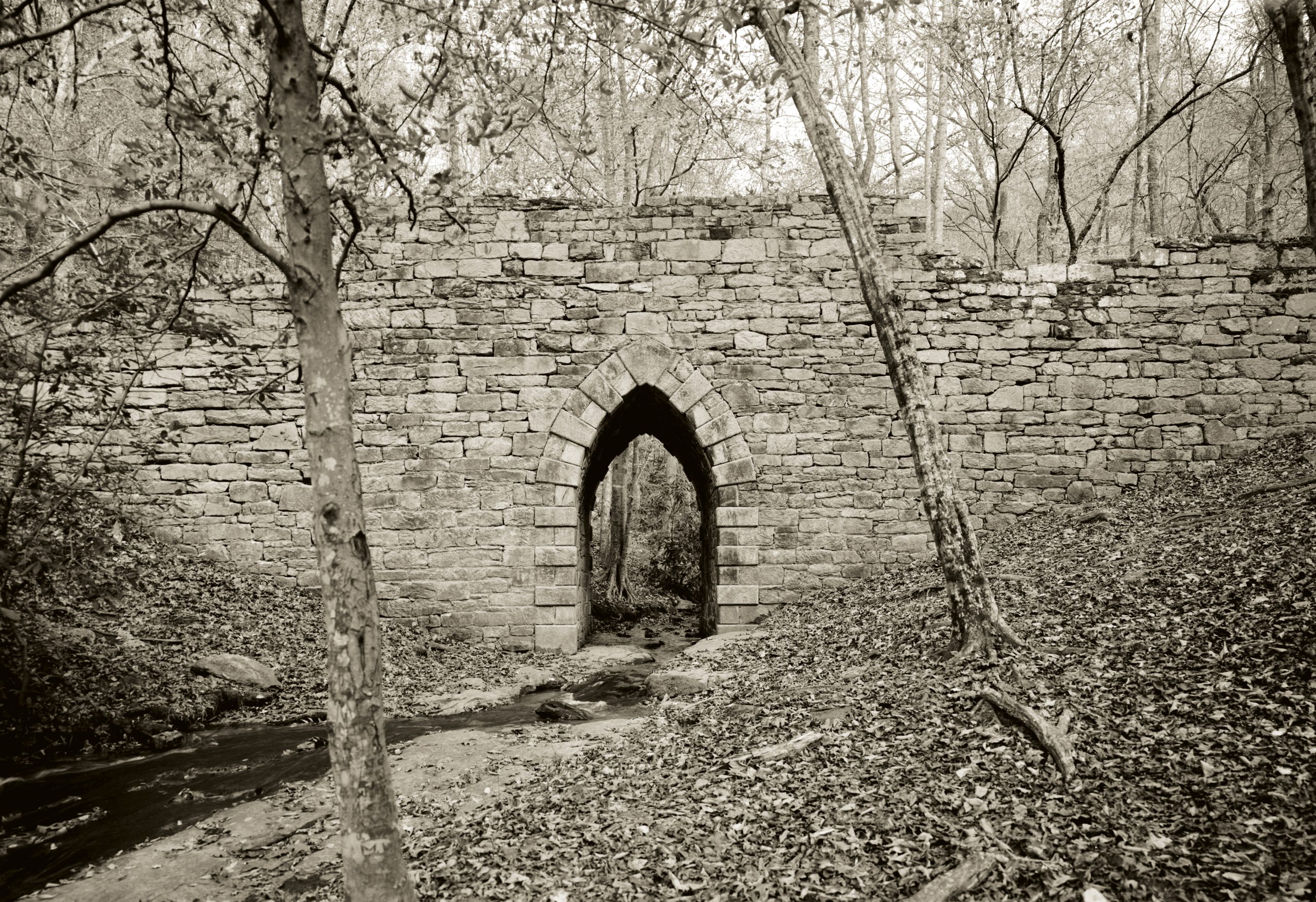 The Gothic arch of Poinsett Bridge, designed by Robert Mills and named for prominent South Carolinian Joel Roberts Poinsett, still stands where the original State Road used to run. It is the oldest surviving bridge in the Southeast.