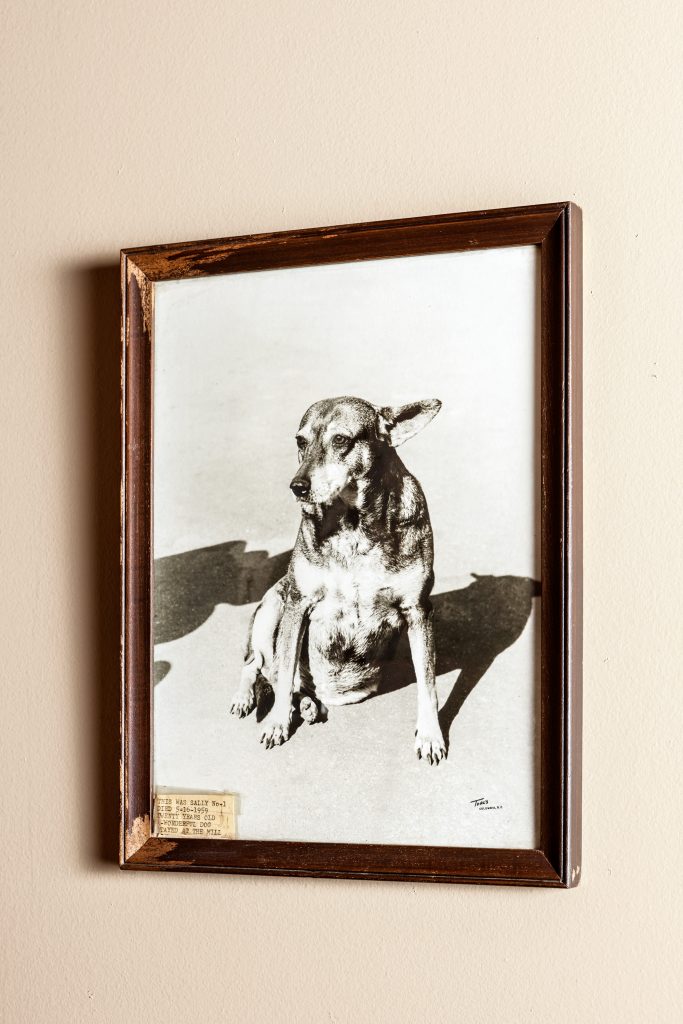The Allens’ beloved dog, Sally, who lived at the mill for 20 years, 1939-1959.