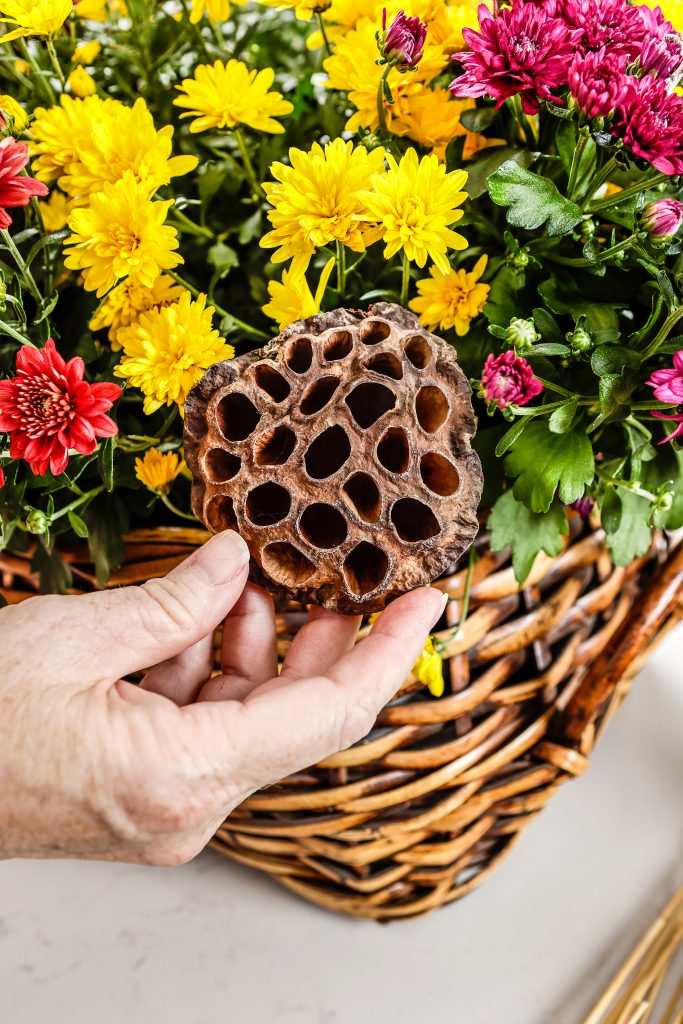 Creating a centerpiece in a basket is easier than you think. Gather seasonal flowers, like mums, in small containers and artfully combine them in a suitable basket with a wide opening. Having the flowers in their containers will make them easier to water. To add more interest, collect and cut extra stems like sunflowers, fit them with water as needed, and slide them into the arrangement. For diversity, add gourds, feathers, or greenery. Voila!