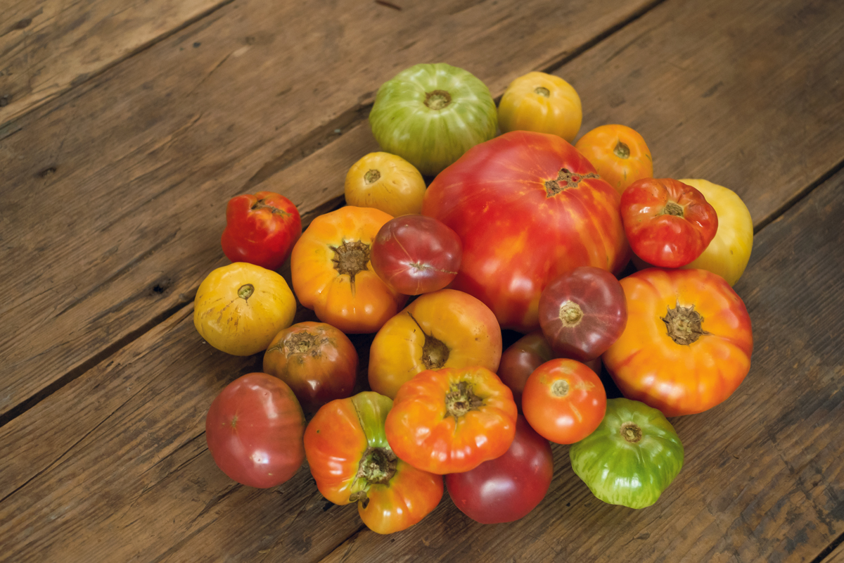 South Carolina heirloom tomatoes are rich in flavor. Photography courtesy of Jeff Amberg
