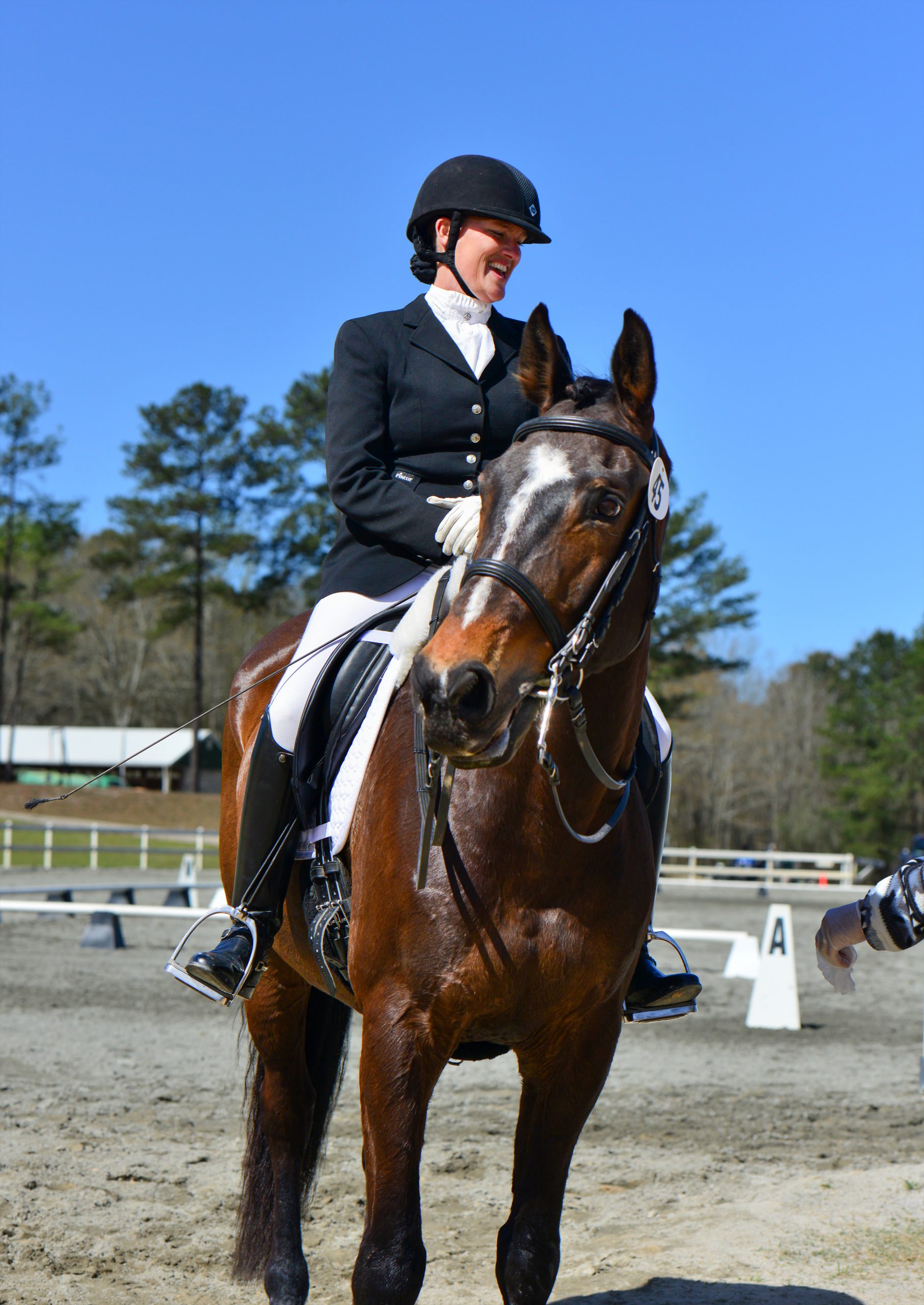 Jill competes on her horse, Manny. Basic dressage requirements include mastery of three standard gaits: a four-beat walk, a two-beat trot, and a three-beat canter. The rider must learn to balance and move in the saddle in such a way that the points where the body makes contact with the horse — called “aids” in dressage lingo — give direction through the manipulation of seat, legs, and hands. Photography courtesy of kmaginnis