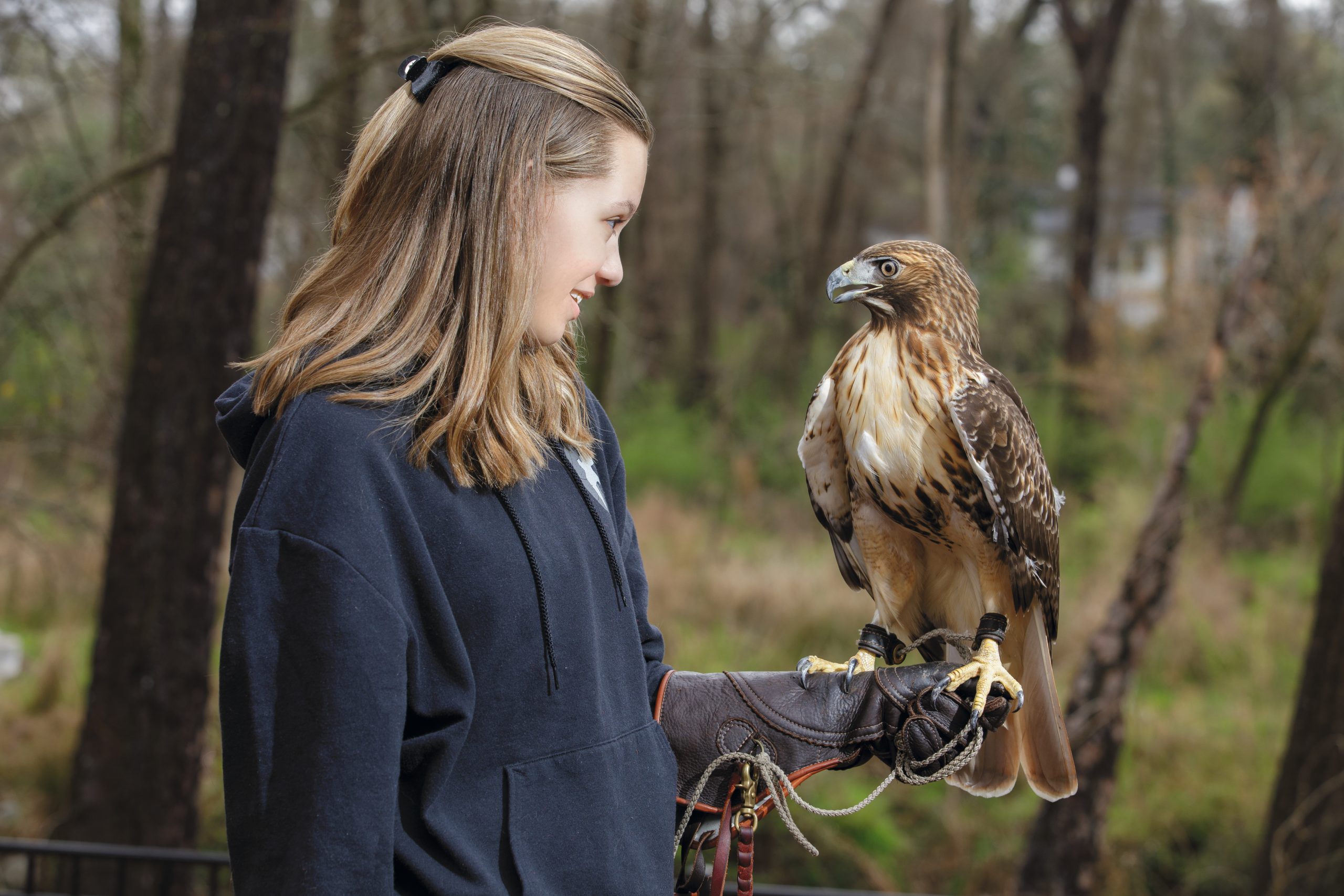 Richard’s daughter, Bailey, has been hunting with her father and their hawks for the past five years. Now a 20-year-old student at Davidson College, she recently began officially apprenticing with her father to earn her own falconry license. 