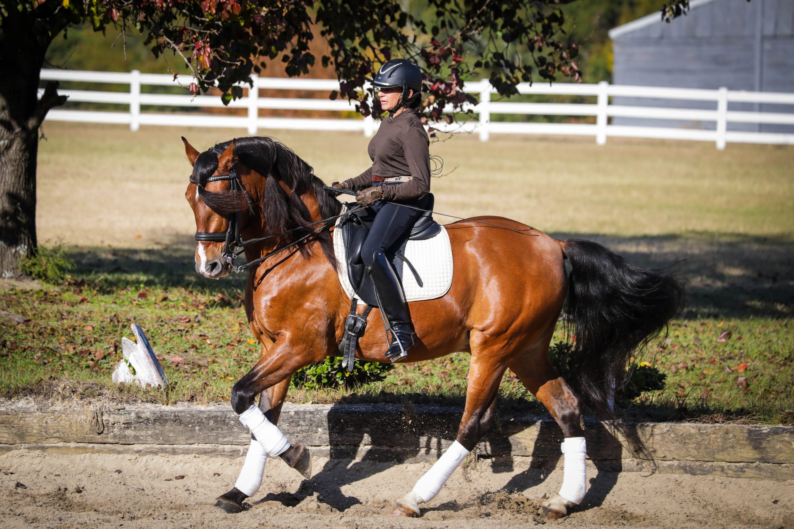 Amy and Deseado practice their dressage moves, making a well-balanced and harmonious picture. “Dressage is a lot like dancing,” says Amy. “It’s kind of amazing to teach horses to do all these beautiful dance movements.” Photography courtesy of Meghan Benge