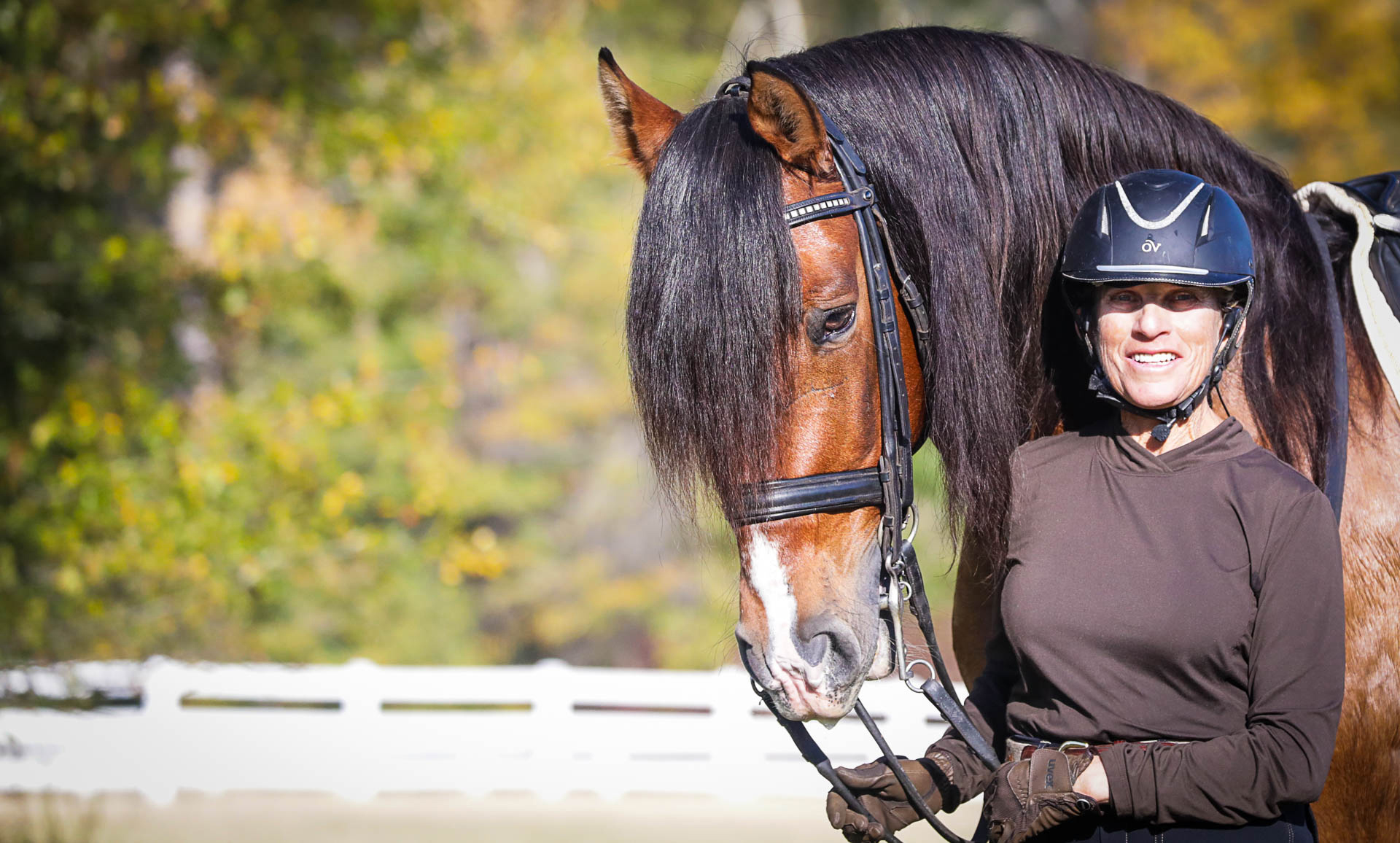 Amy McElroy has partnered with Deseado, a 14-year-old Lusitano gelding imported from Spain, for the past two years, but she has practiced dressage for a lifetime.

