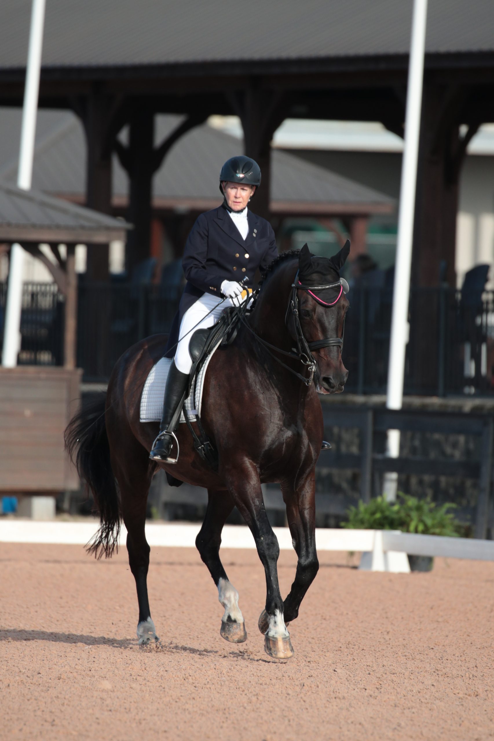 Susan Todd of Hidden Creek Dressage in Blythewood competes on Geyser, an imported Danish Warmblood, at the International Equestrian Federation Prix St. Georges level in dressage at the Tryon, NC International Equestrian Center.  Photography courtesy of Sharon Packer