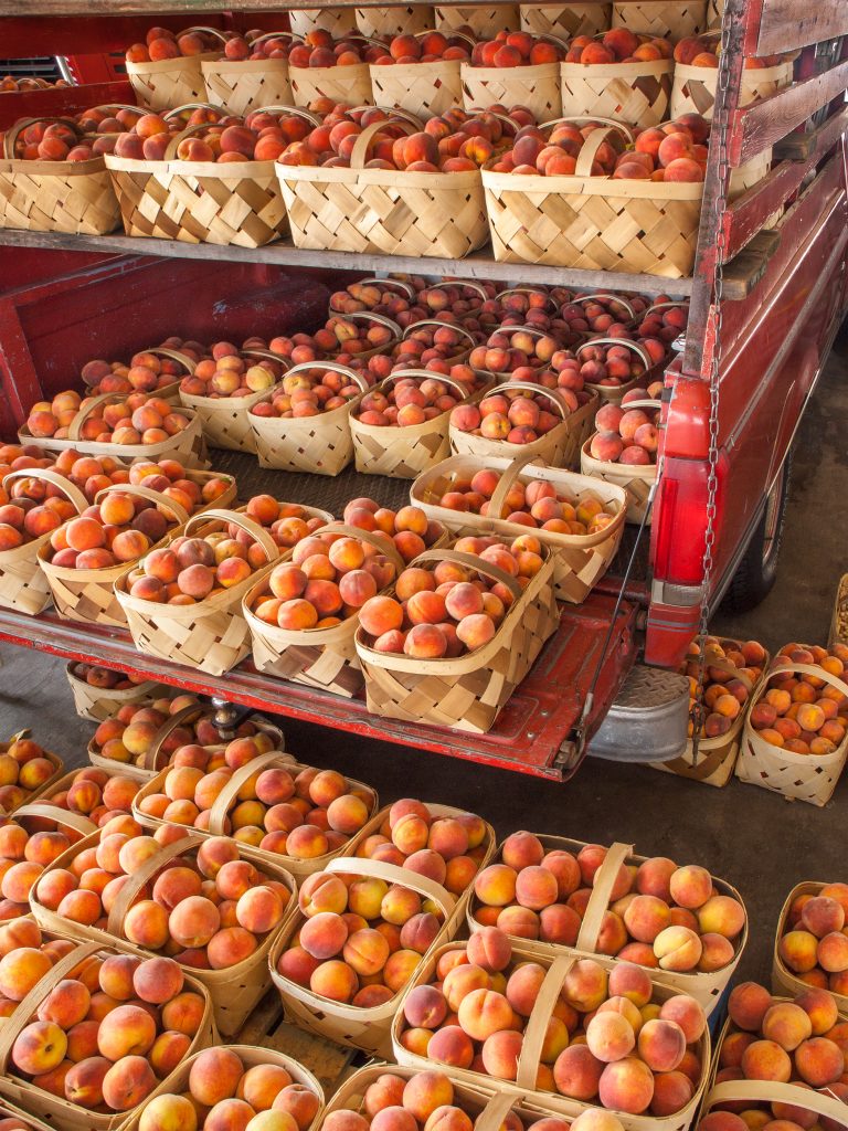 OLYMPUS DIGIEarly June brings trucks of local peaches. TAL CAMERA