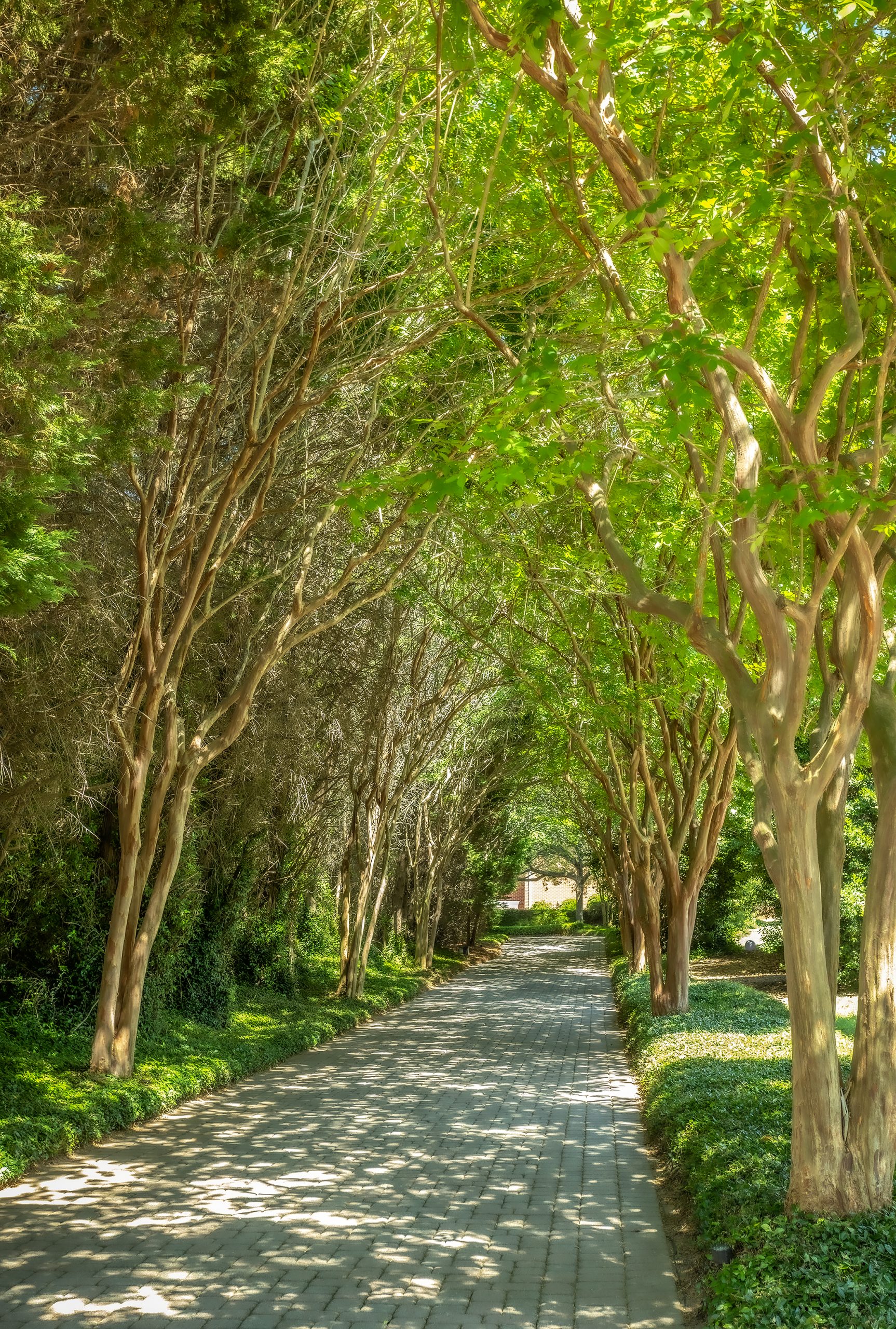 The 750-foot-long winding driveway is handlaid with cobblestone pavers and shaded by crepe myrtles.
