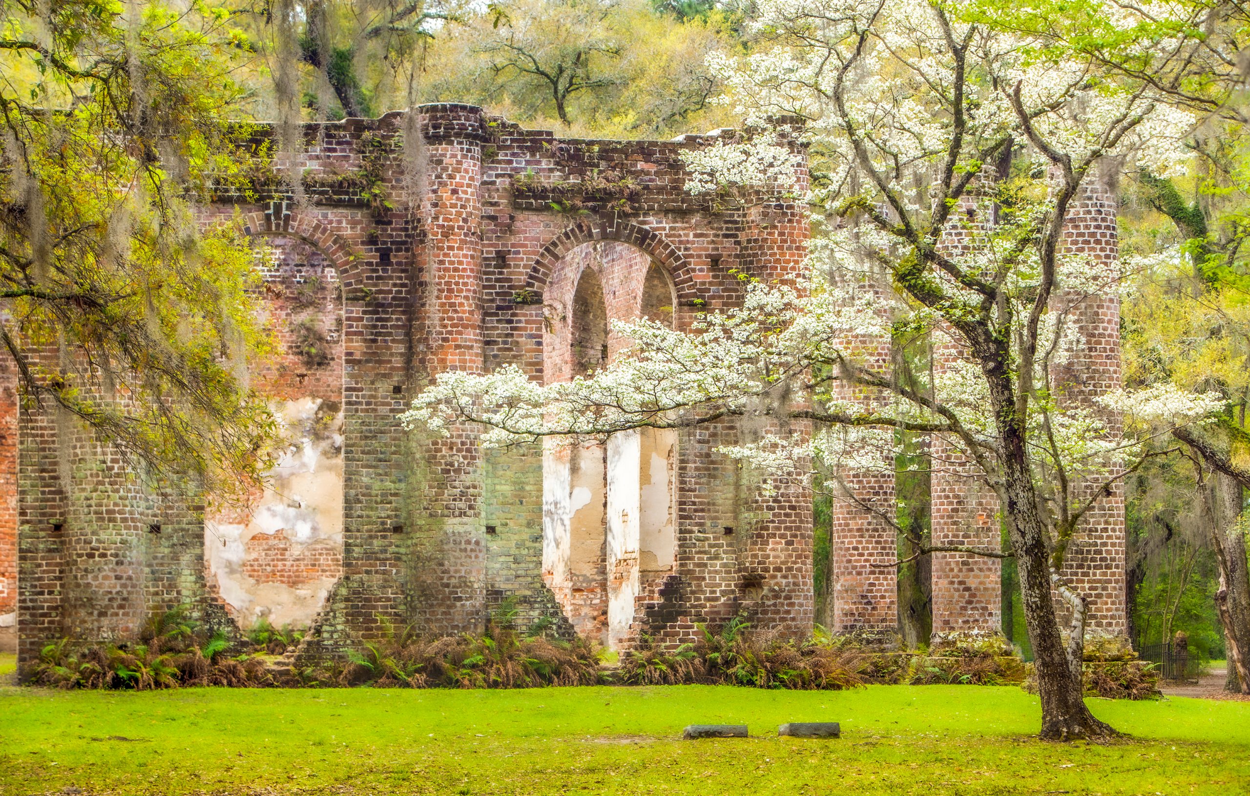Flowering dogwoods stand out against the ruins of Prince William Parish Church, now known as Sheldon Church. The church’s architecture was the first attempt to imitate a Greek temple in America. 