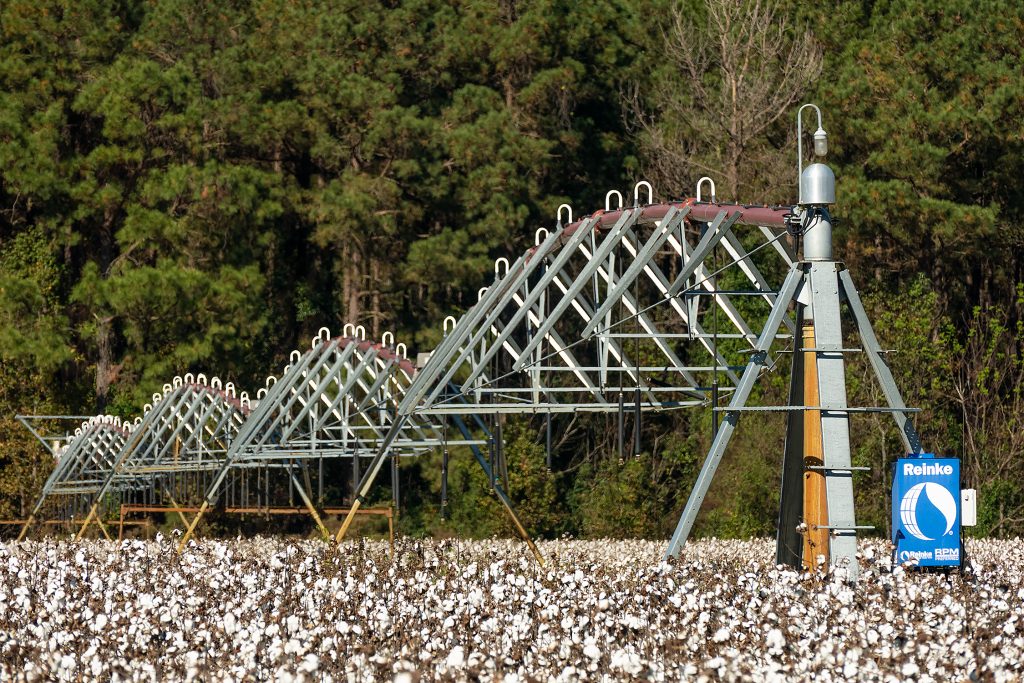  Irrigation — Planted in May, cotton depends on ample rainfall to develop as a mature plant.  Farmers  depend on summer thunderstorms for moisture, but if storms don’t develop, irrigation helps ensure a healthy crop.