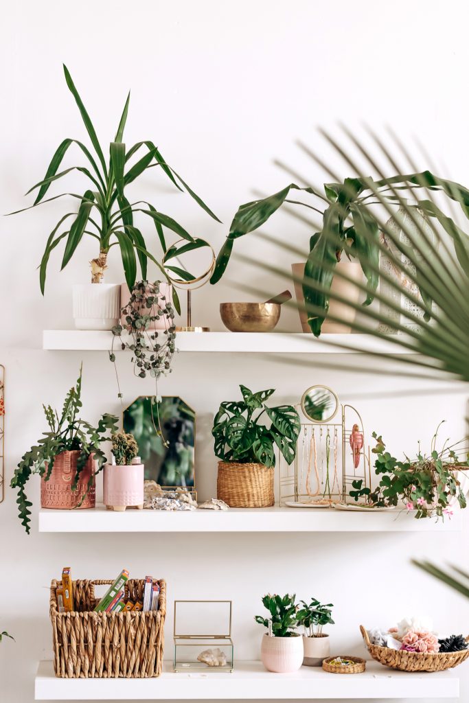 Bright authentic home interior.Shelves with indoor plants and decor.Home gardening,urban jungle,biophilic design.Selective focus.
