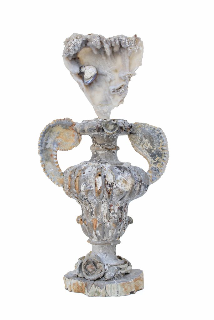 Seventeenth to 18th century Italian fragment vase with agate coral, zigzag oyster fossil arms, fossil shells, and a baroque pearl on a polished petrified wood base. Saved from the historic flooding of the Arno River in 1966, this fragment is from a church in Florence.
