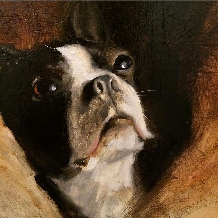 Mark Nussbaum’s oil painting Dallas, a family dog, captures her in the last days of old age. 