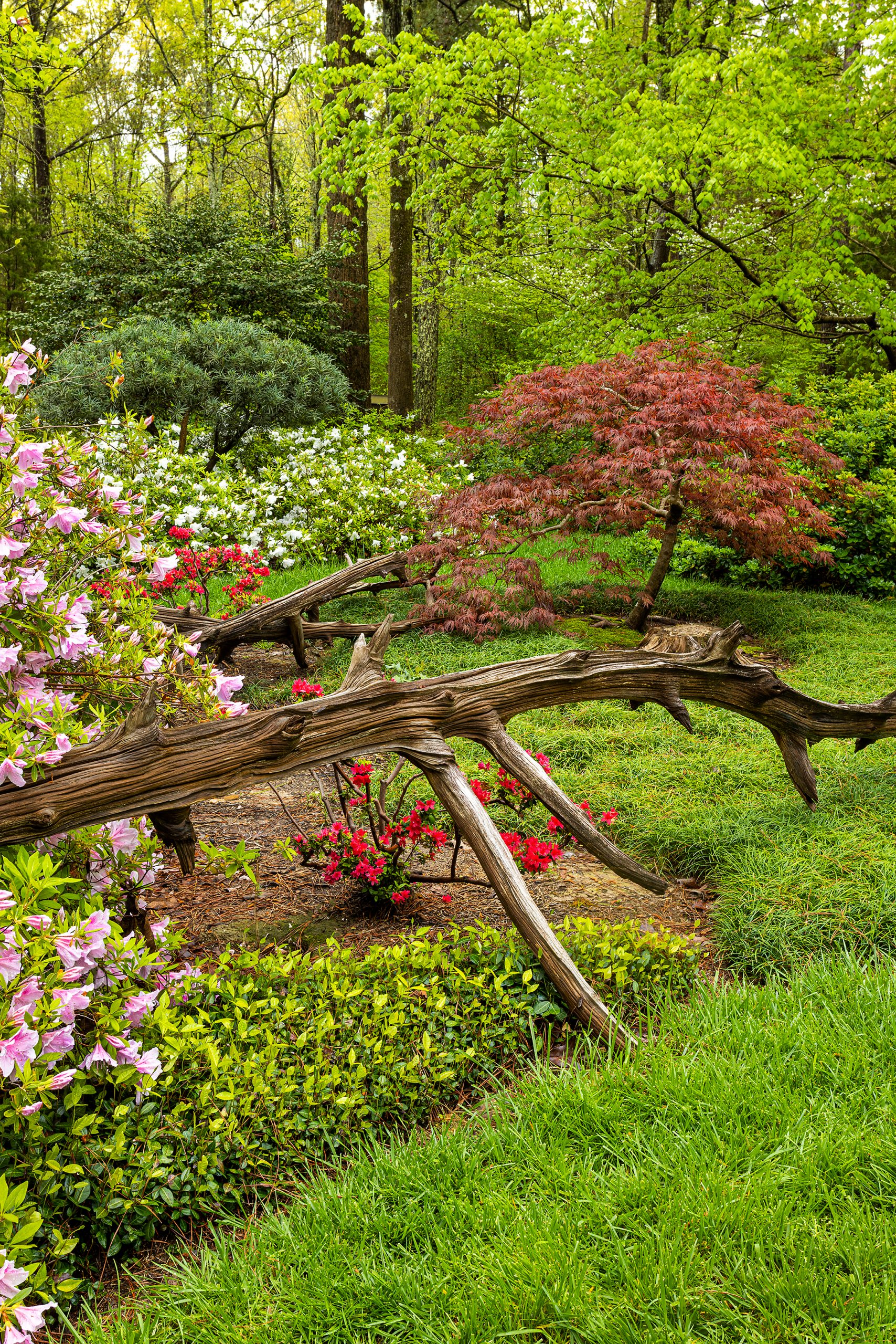 Japanese gardens are for sitting and viewing. The gardener’s job is to improve its design continuously, pruning shrubs, trees, and hedges. Leaves or petals falling to the ground are just as ornamental and enjoyable as carefully placed plants or stones.