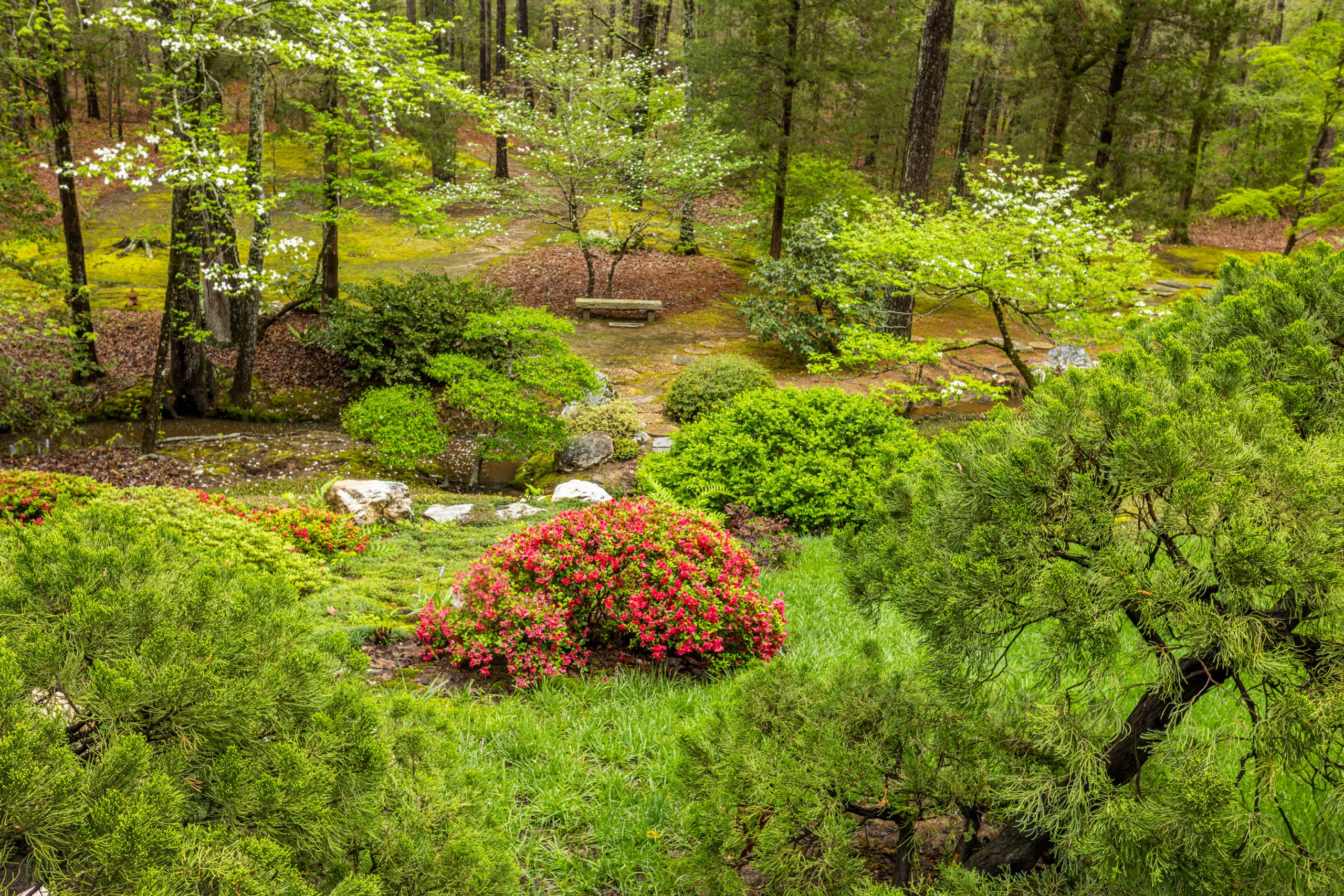 Every garden should have some open space with moss or another ground cover to keep the design from feeling crowded. Plants that do not maintain a pleasant appearance year-round are never incorporated. 