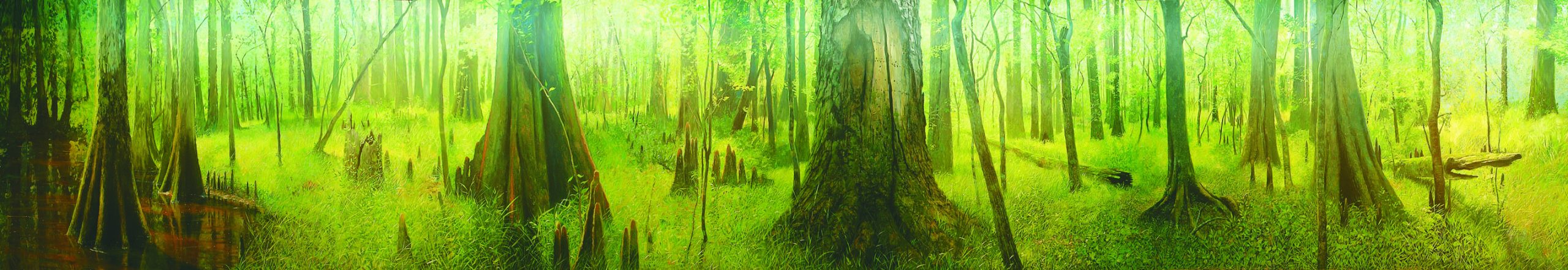 Congaree Swamp mural, painted on location in the lobby of the Congaree National Park Visitors Center, 2002, approximately 11 feet by 80 feet. Public collection in a federal park. 
Photography courtesy of Lynn Sky