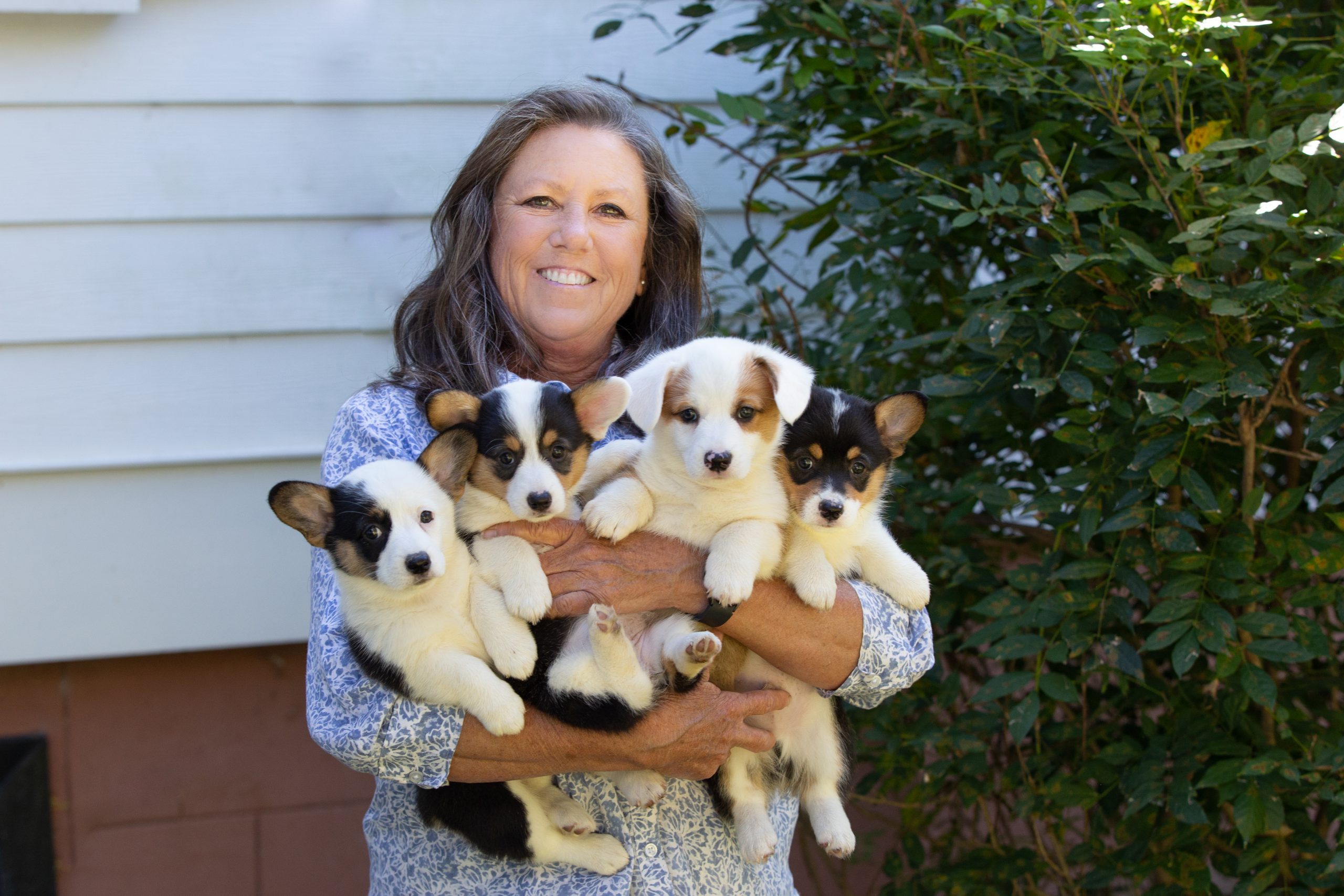 Kathy enjoys Corgi Betsy’s four puppies from her litter this past July — joy abounds! The McCaskills kept one puppy from last year’s litter, but sadly no keepers this time around.  Photography courtesy of Julie Jackson Prickett