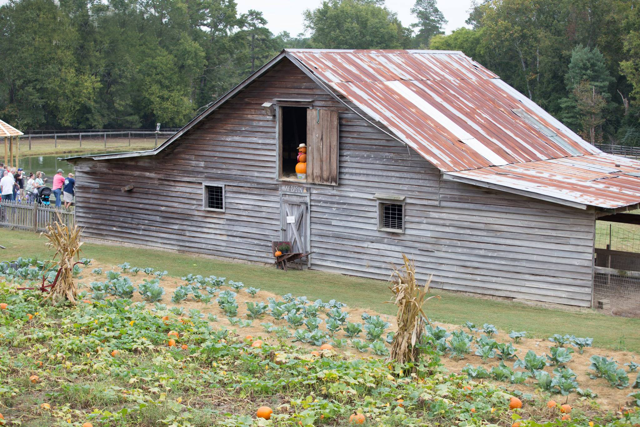 The McCaskills usually plant a fall garden and have pumpkins. Photography courtesy of Julie Jackson Prickett