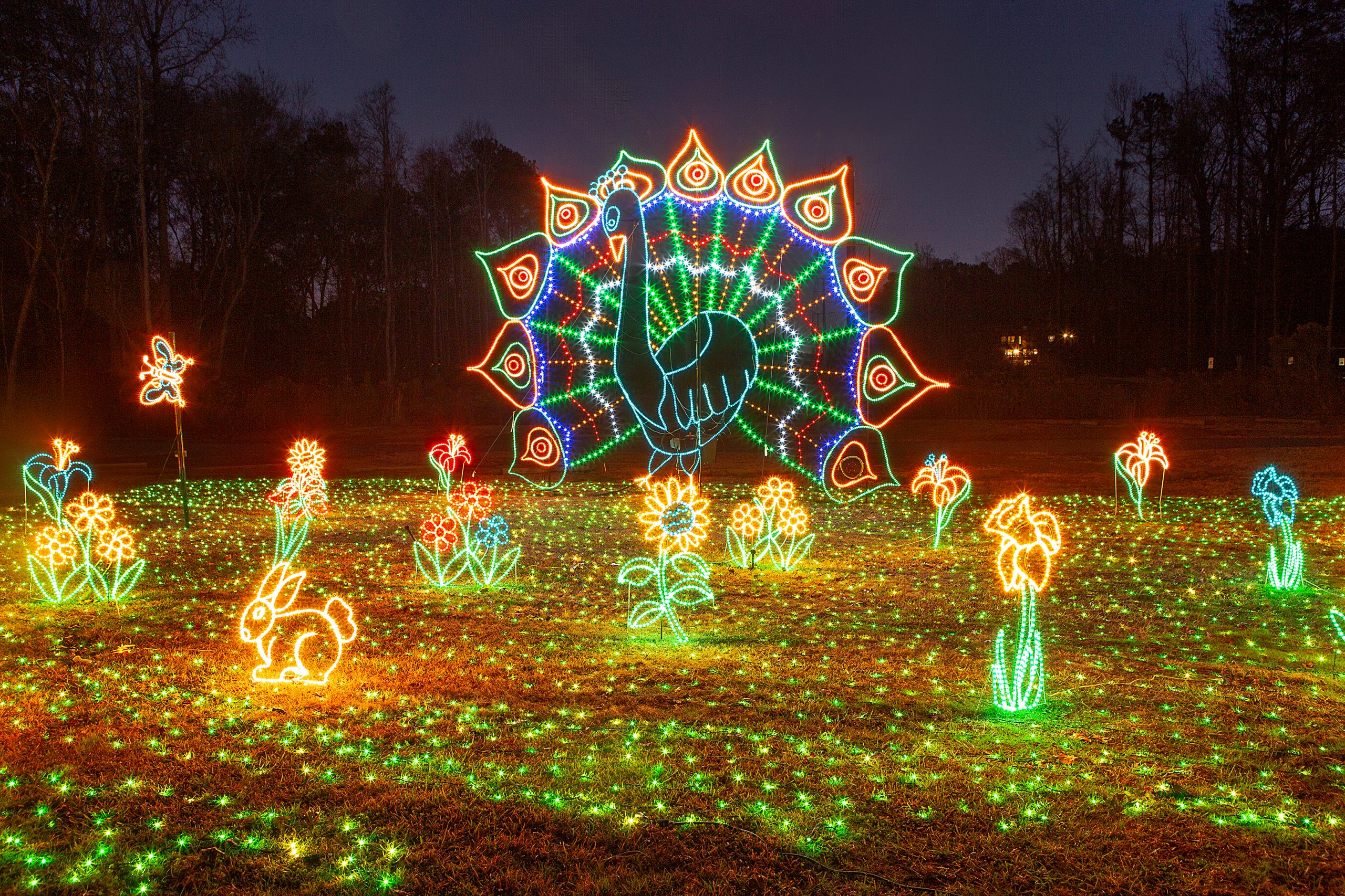 Millions of twinkling lights uplift the spirit at the annual Saluda Shoals Park Holiday Lights. A 2-mile journey of lights, lasers, and music delights “kids” of all ages. Park employees start production of the magical process immediately after Labor Day.