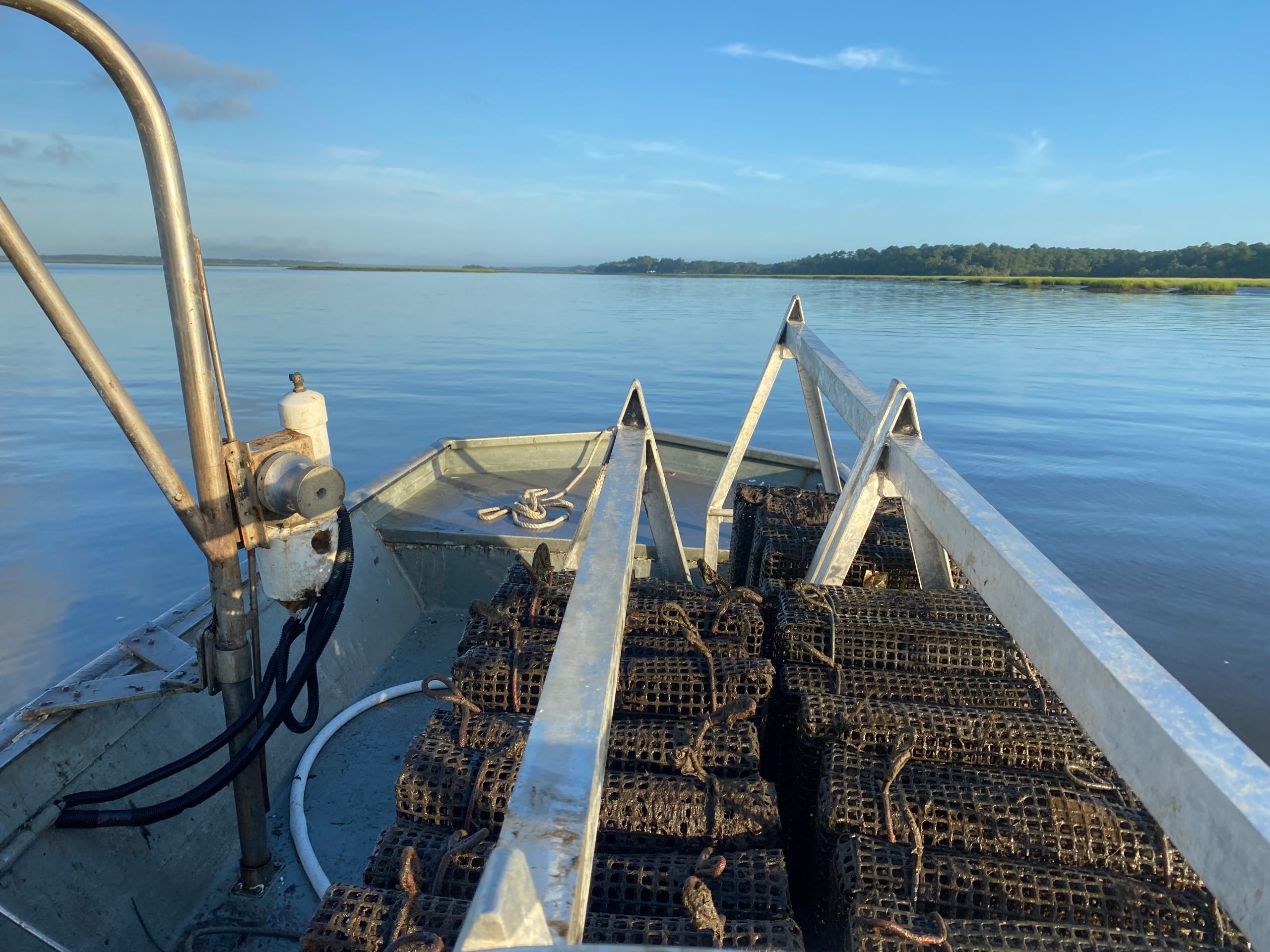 Once they outgrow the nursery, Lady’s Island oysters are sorted into mesh bags, placed in floating cages, and strung out along the Coosaw River.  Photography by Julie Davis