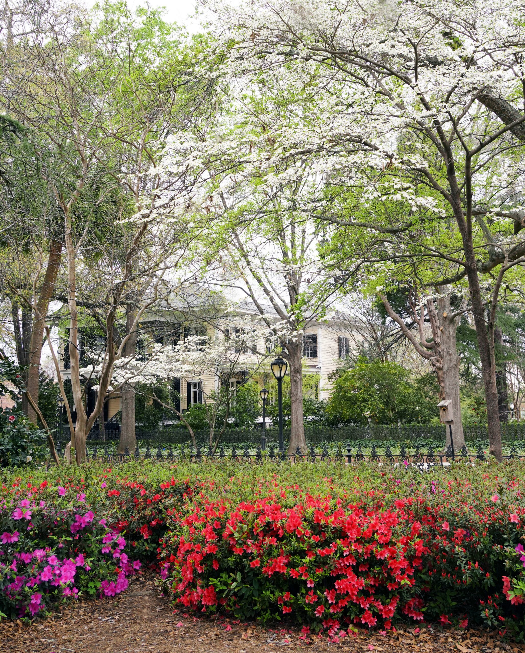A view from the mansion gardens with azaleas and dogwoods shows the Lace House, one of the historic homes located on Arsenal Hill.
