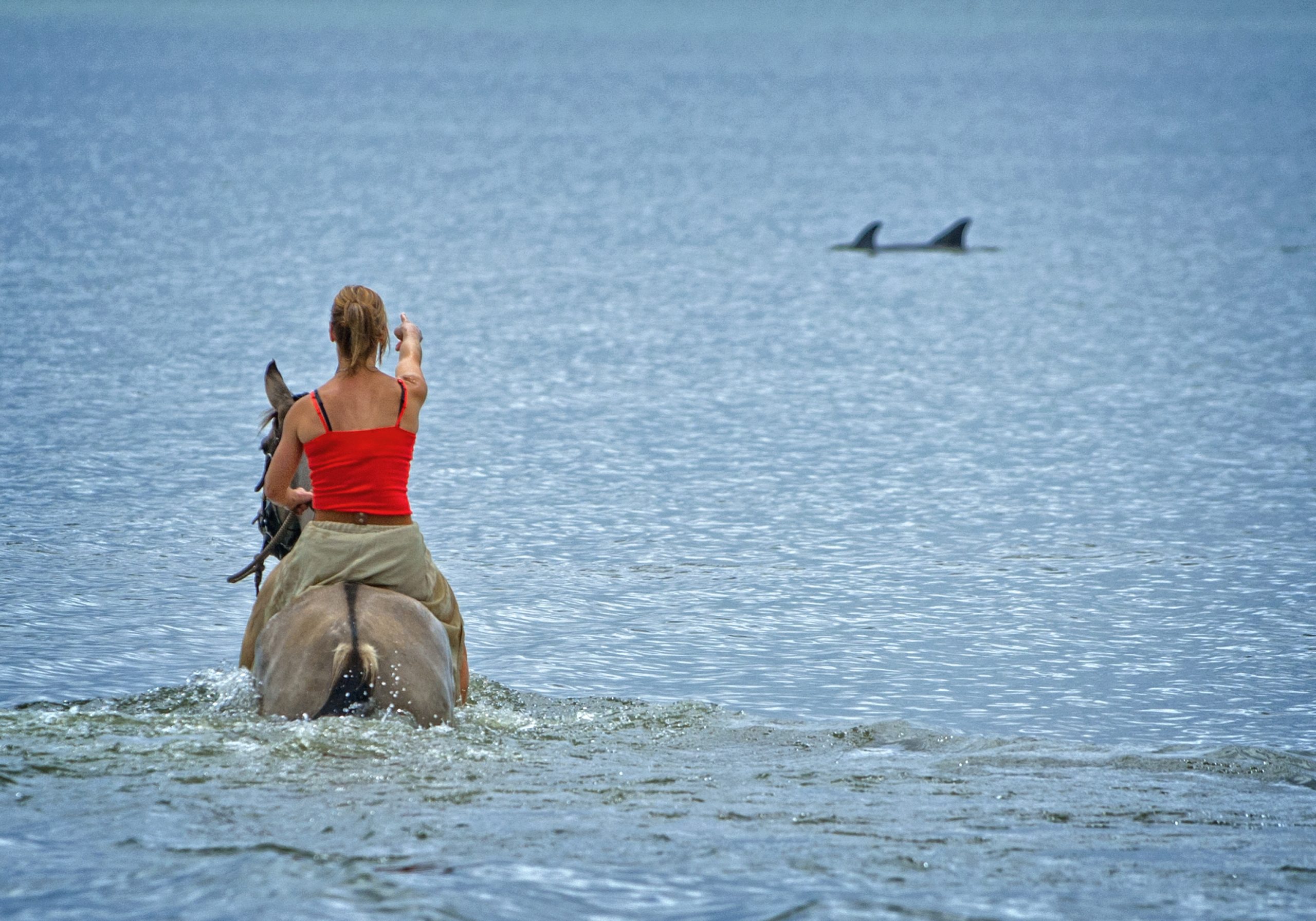 Wylie, sitting astride Breeze off Daufuskie, points out dolphins swimming by.